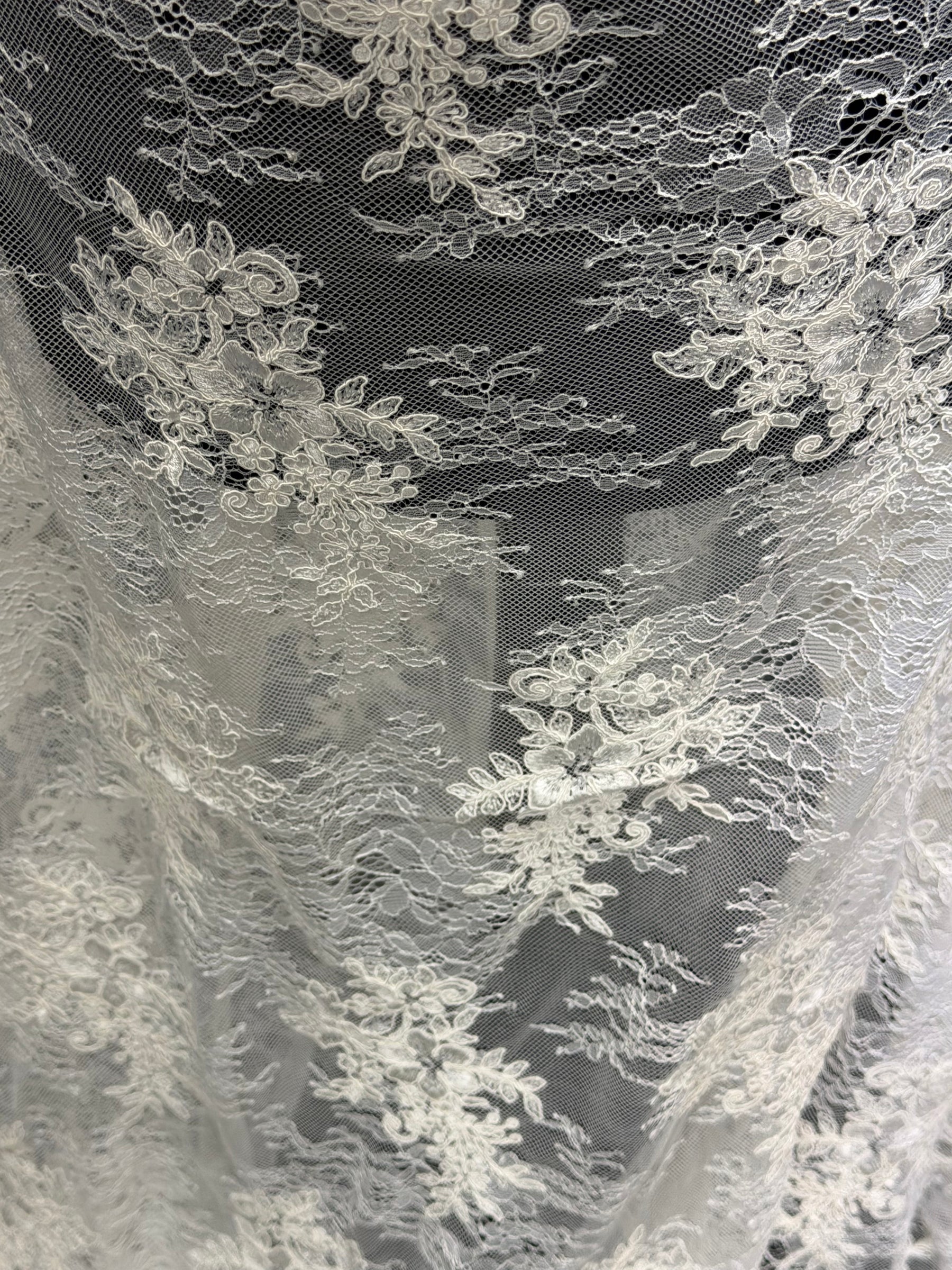 Ivory Corded Lace - P562