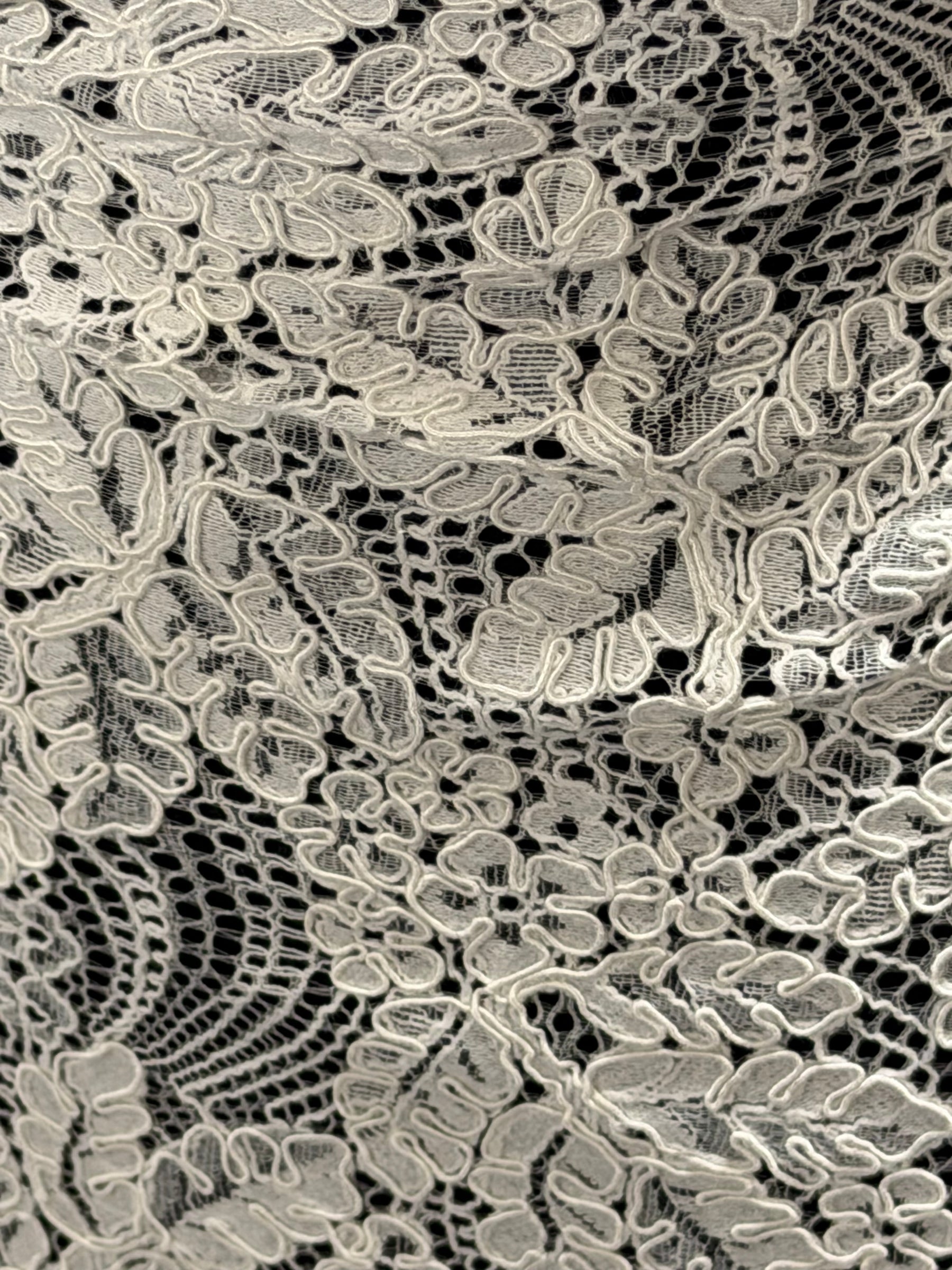 Ivory Corded Lace - LA7010