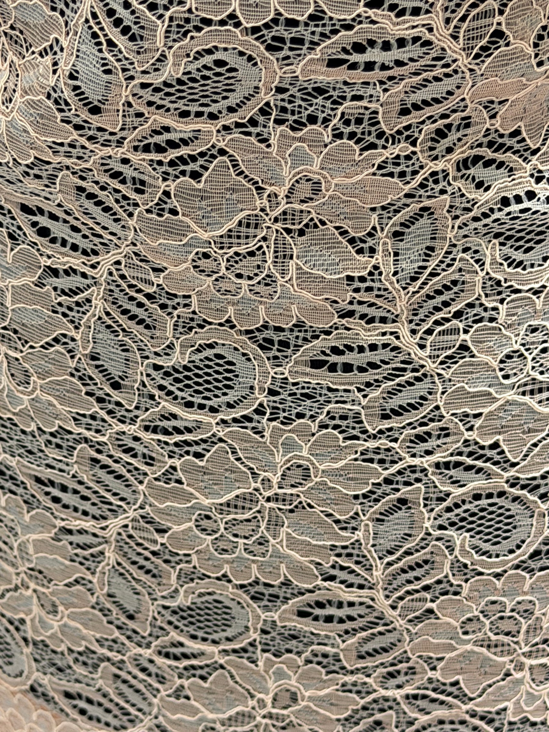 Pearl Blush Corded Lace - Tocca