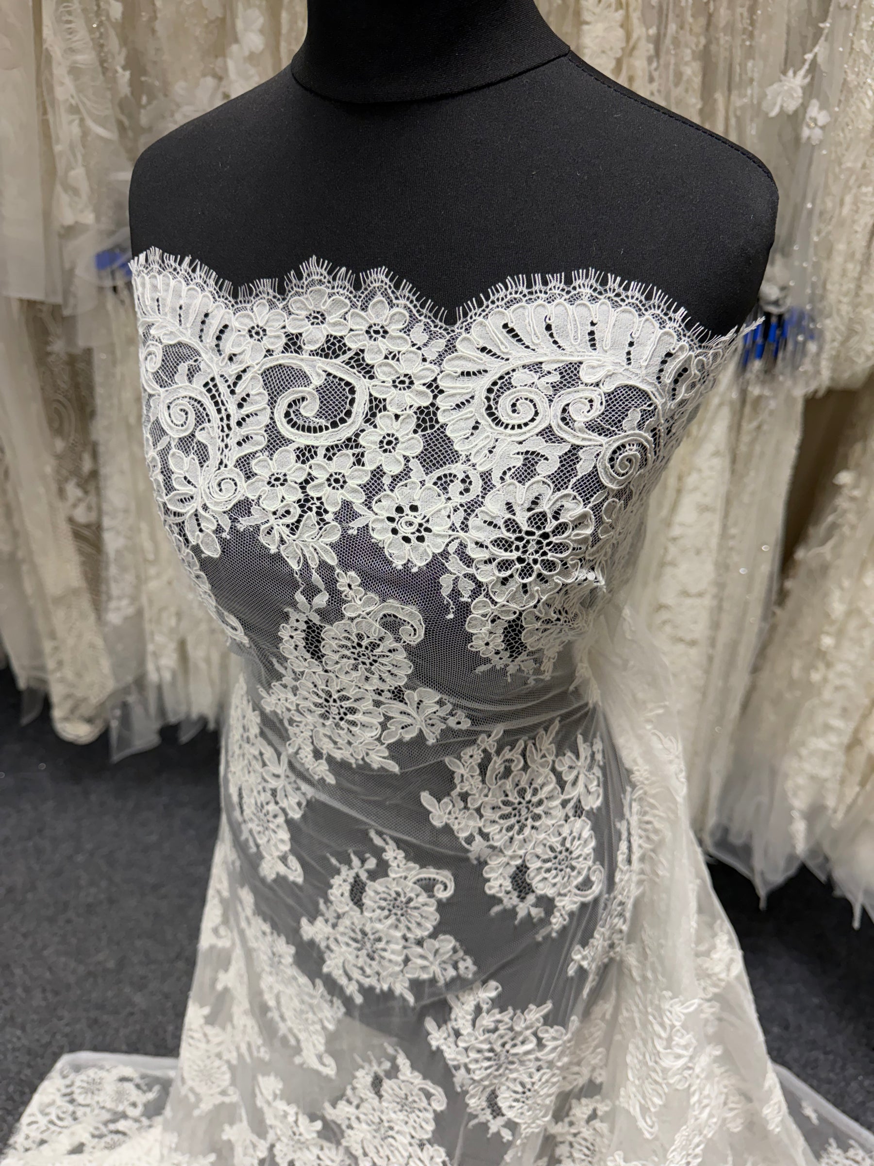 Ivory Corded Lace - P655