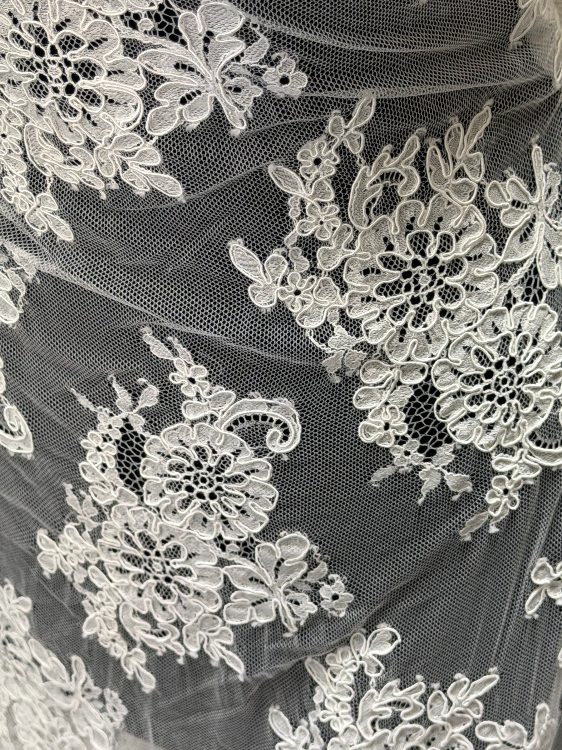 Ivory Corded Lace - P655