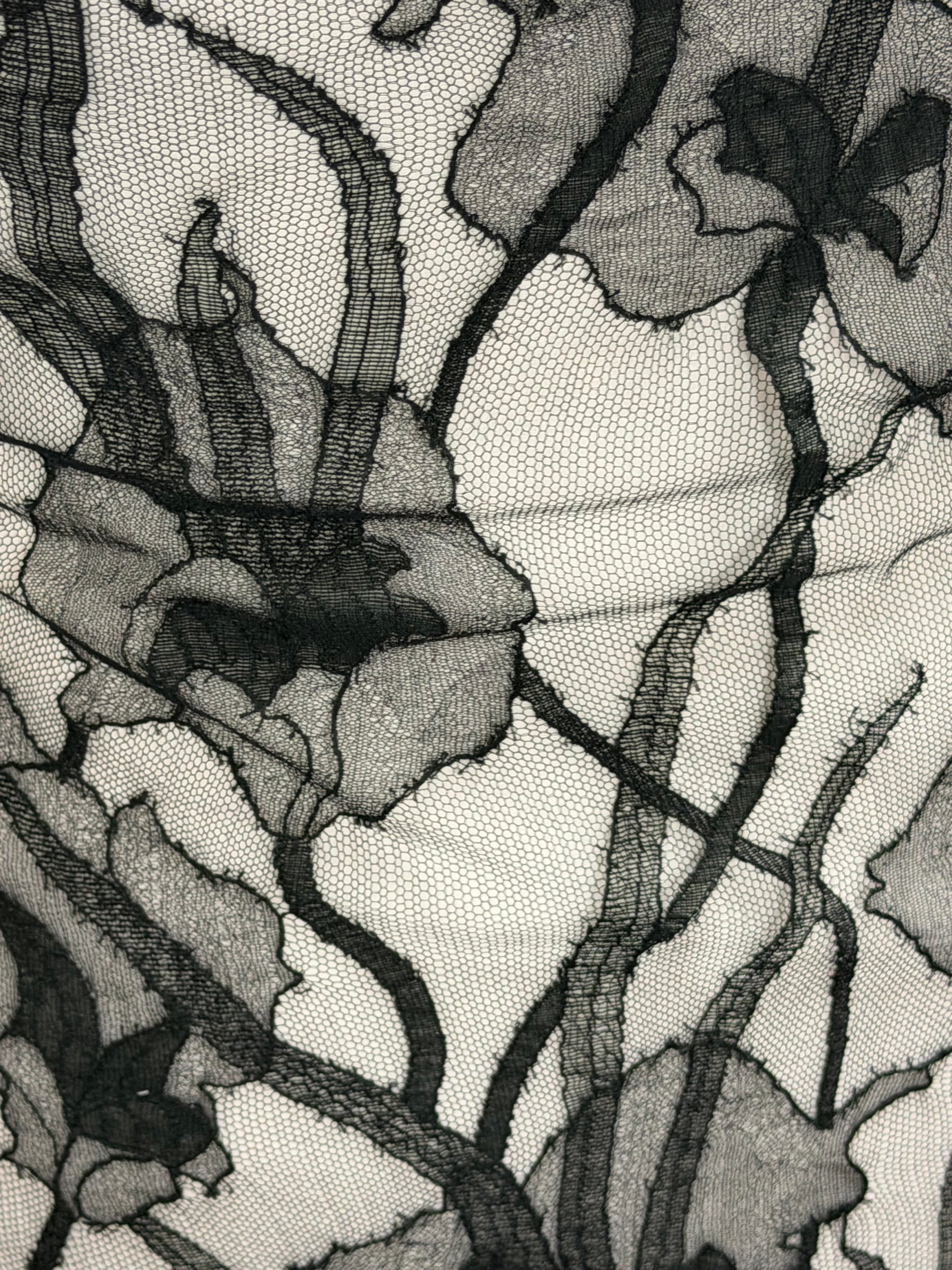 Black French Lace - LA2009