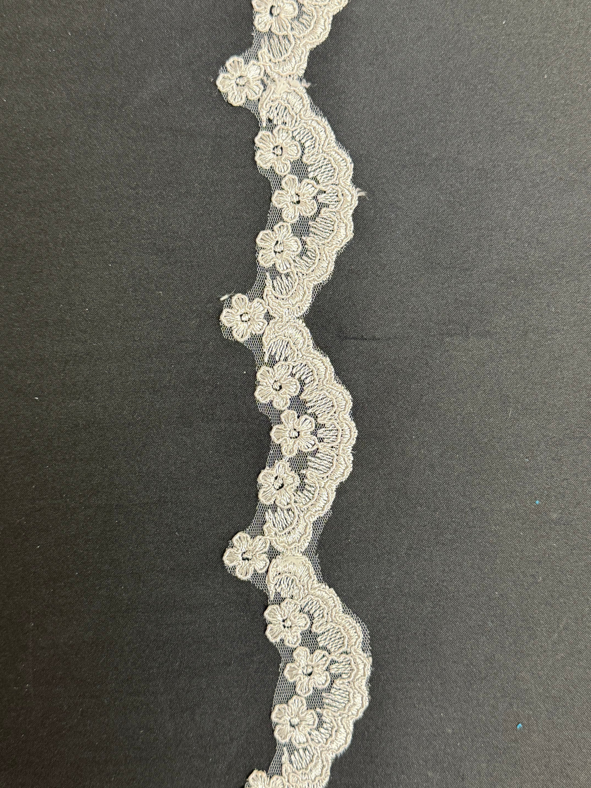 Silver Corded Edging - T782