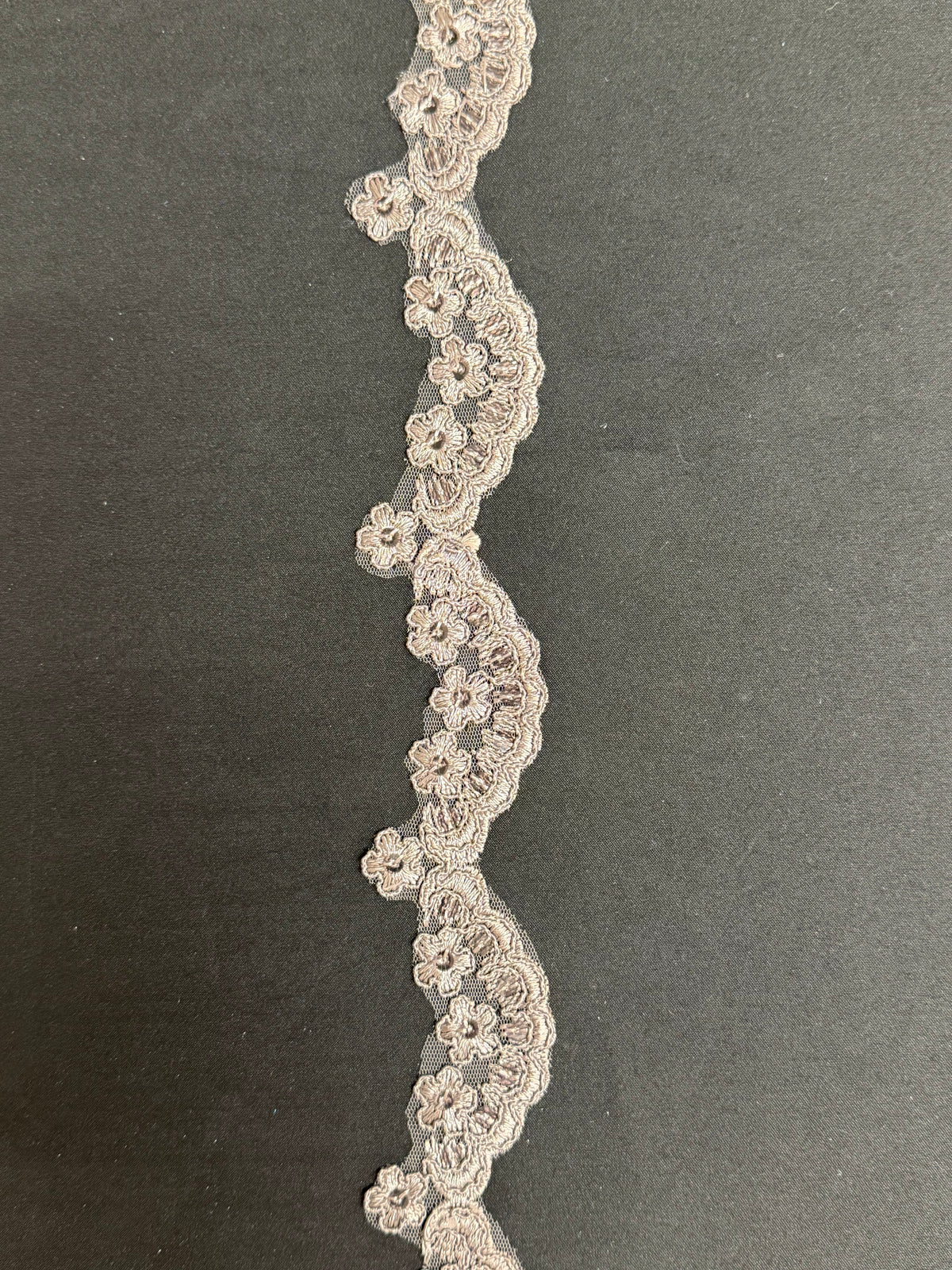 Taupe Corded Sequin Edging - T713