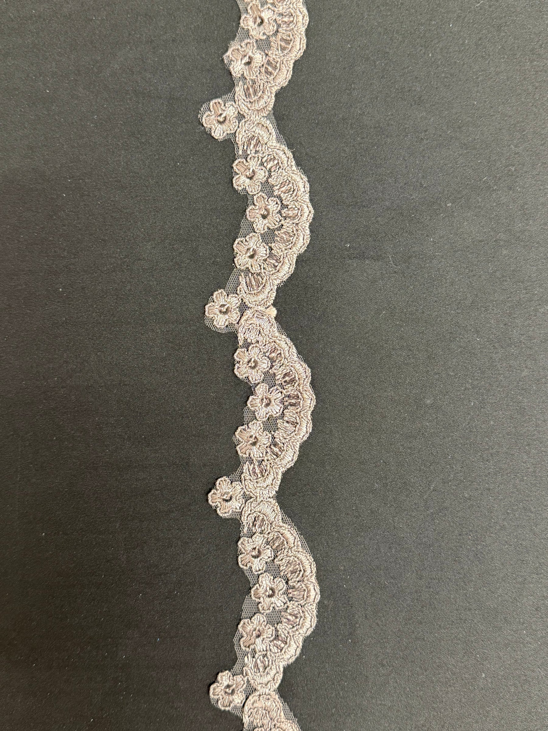 Taupe Corded Sequin Edging - T713