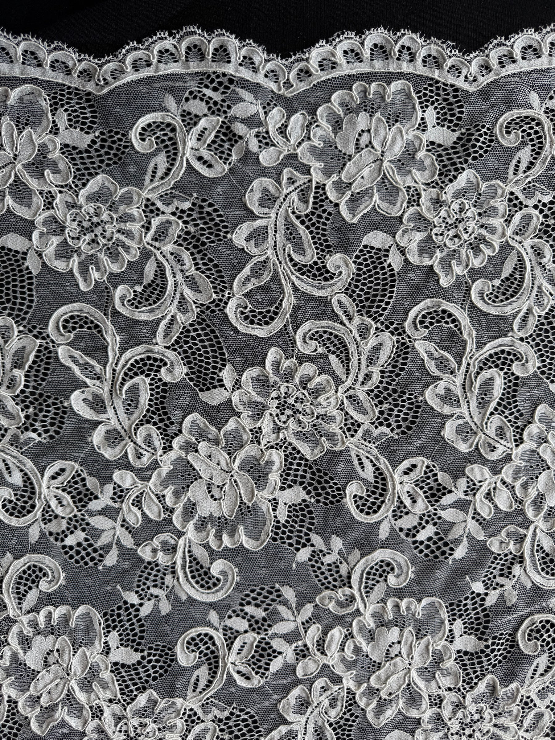 Ivory Corded Lace - P210