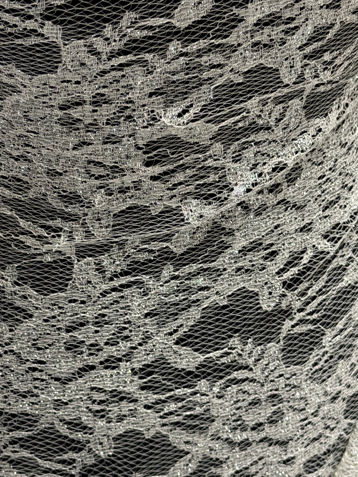 Ivory with Silver Chantilly Lace - P208