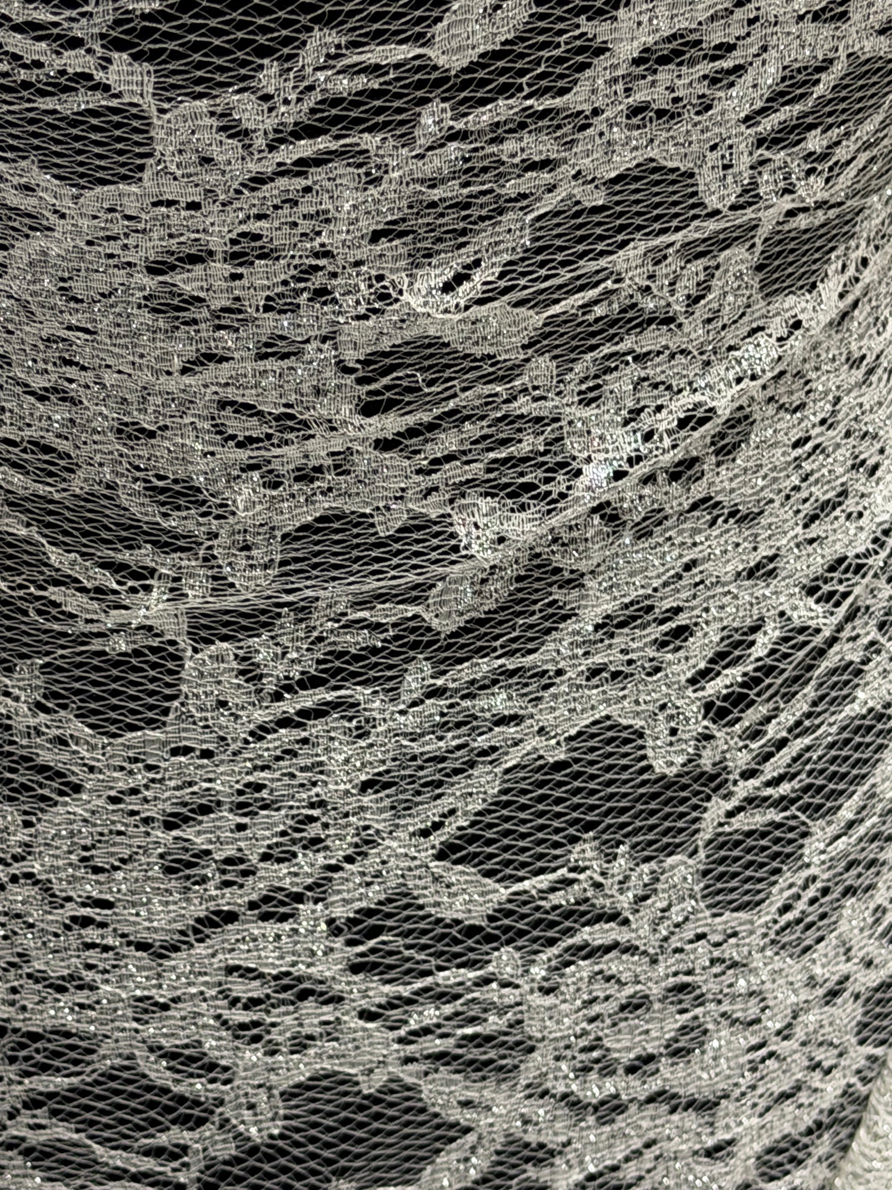 Ivory with Silver Chantilly Lace - P208