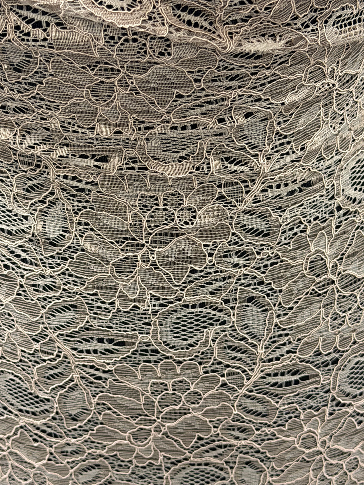 Mink Corded Lace - Tocca