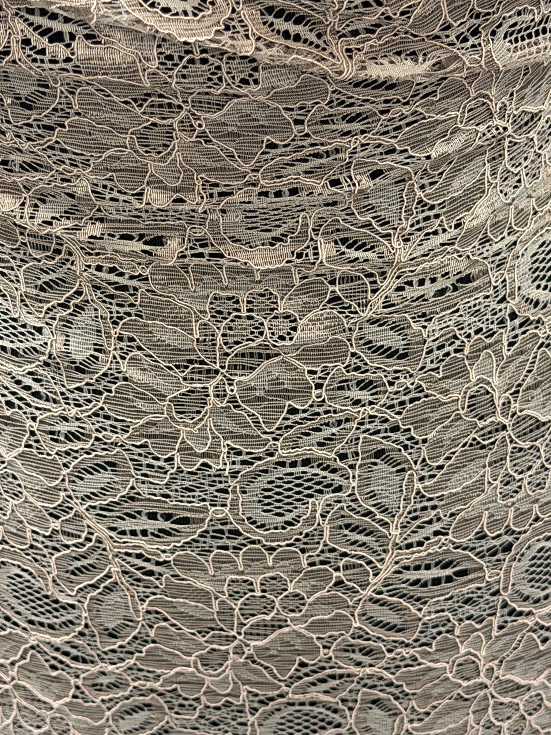 Mink Corded Lace - Tocca