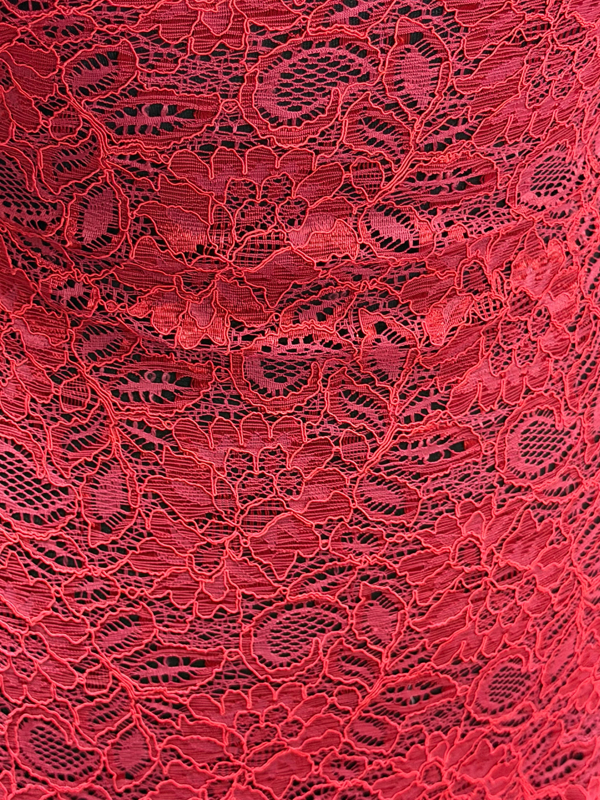 Scarlet Corded Lace - Tocca