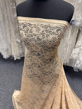 Champagne Corded Lace - Tocca