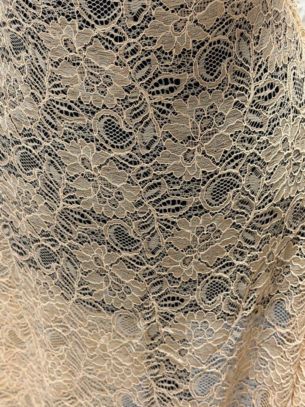 Champagne Corded Lace - Tocca