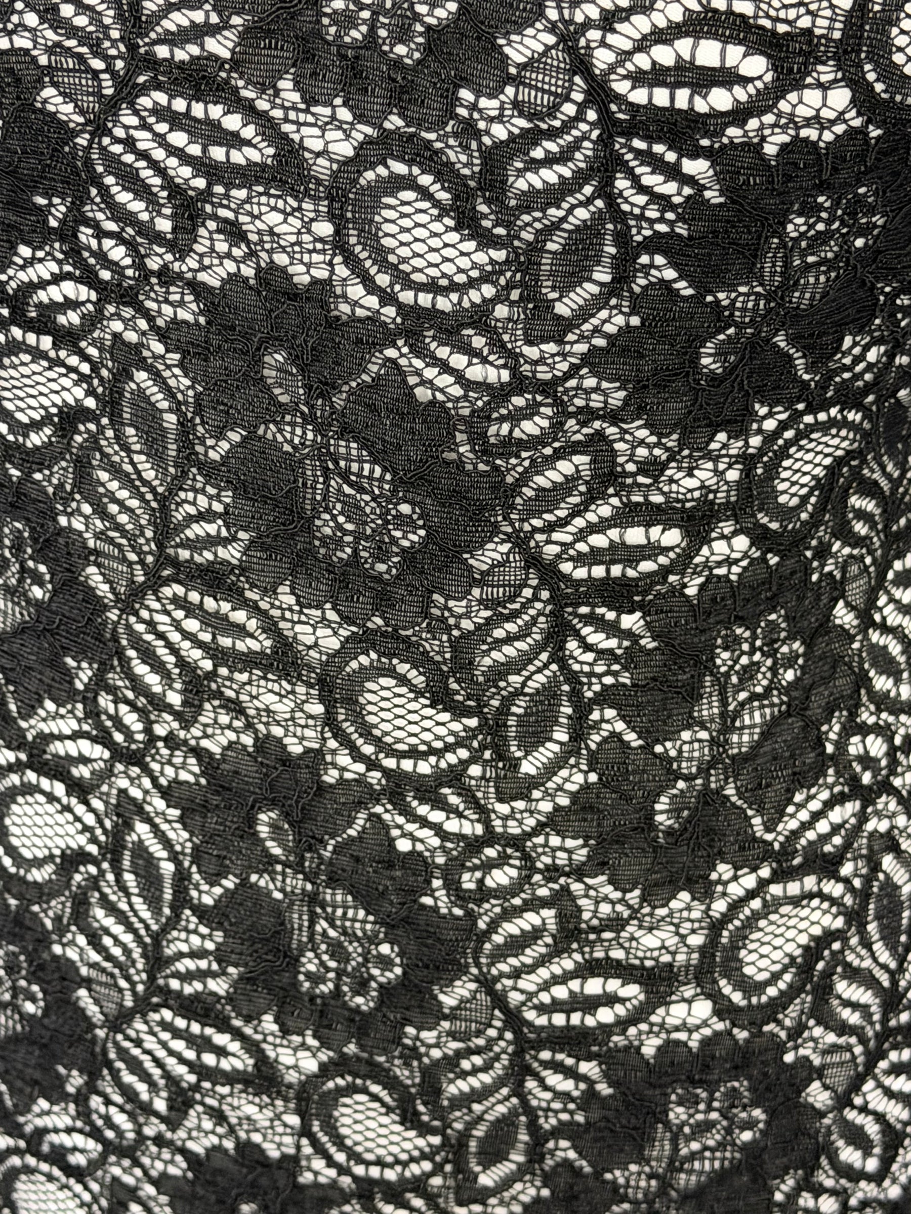 Black Corded Lace - Tocca
