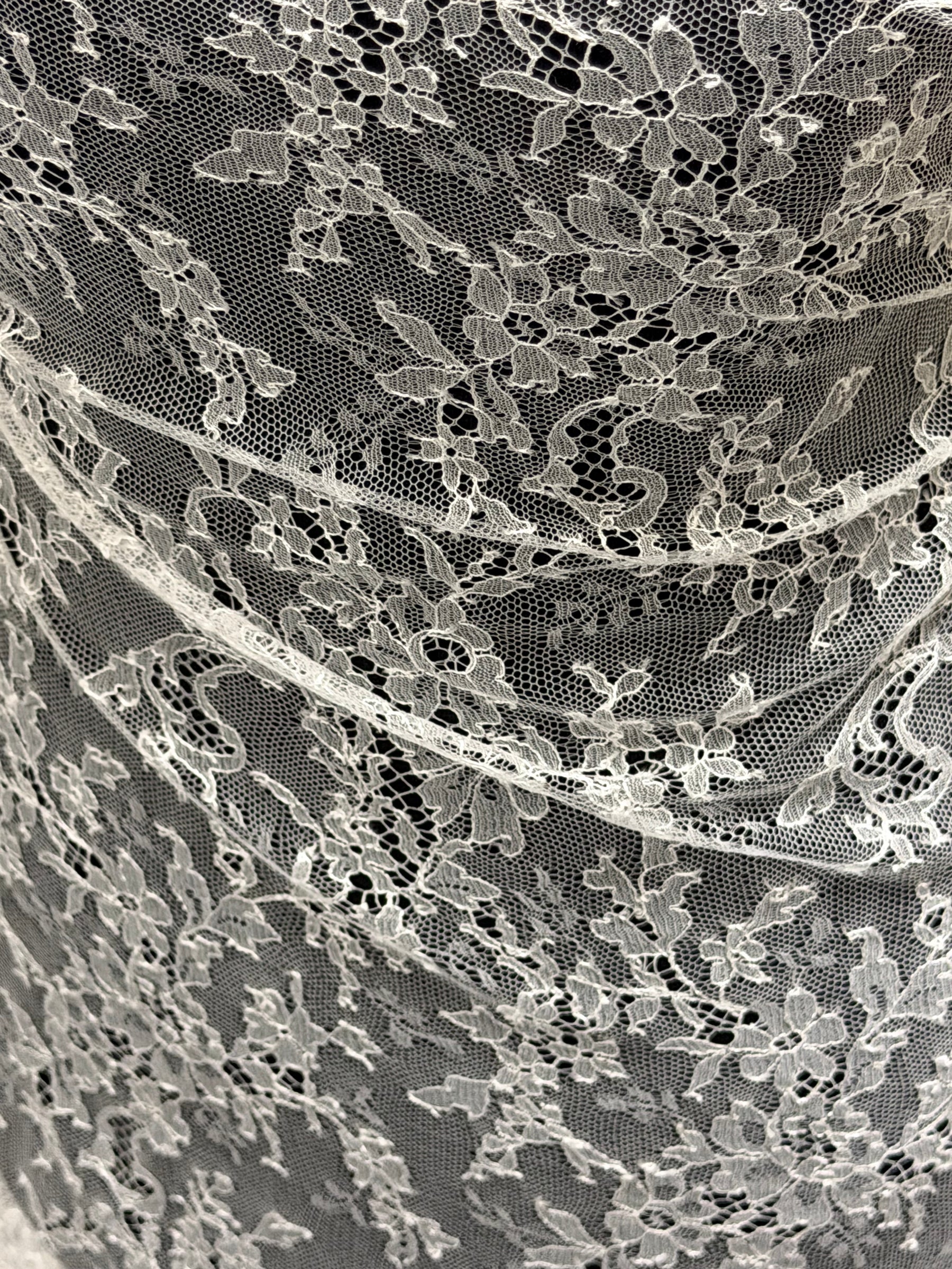 Porcelain Chantilly Lace - Diallo