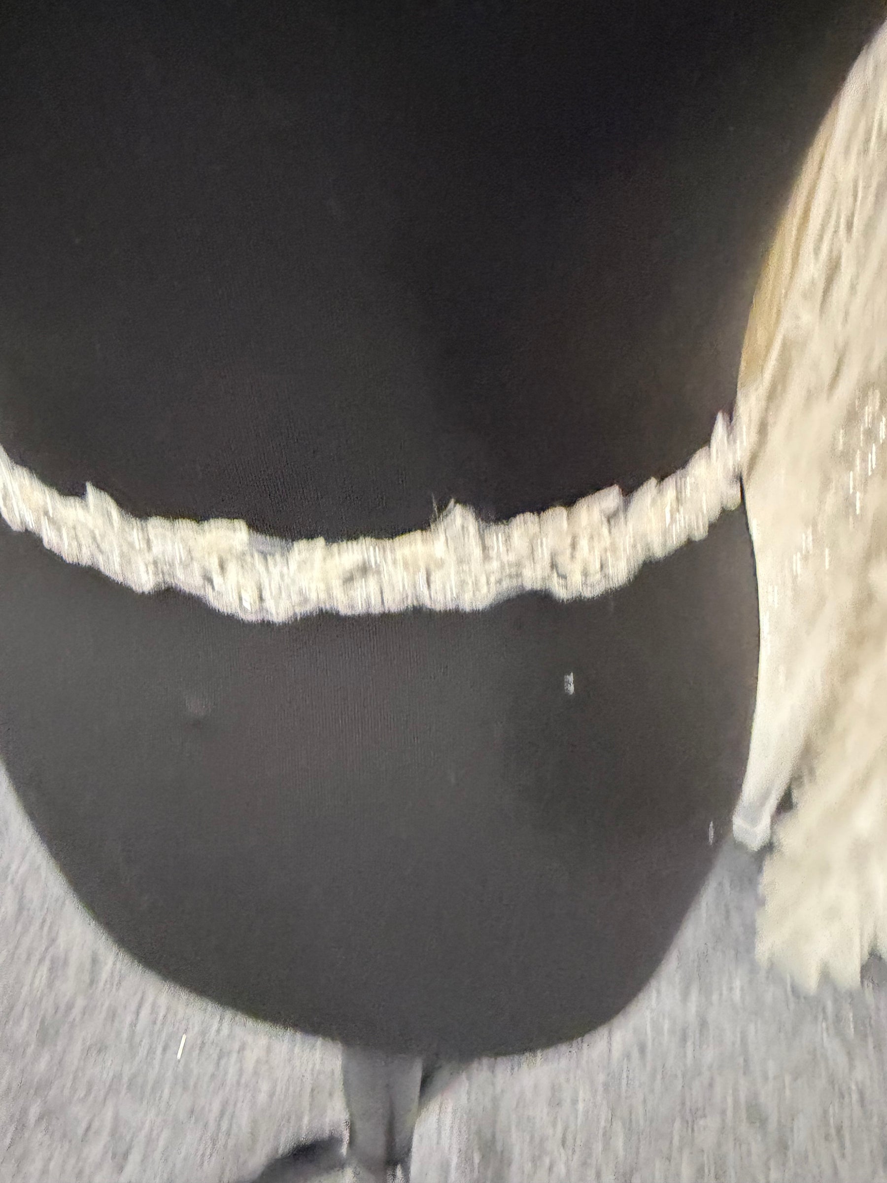 Ivory Beaded Edging - EF2001