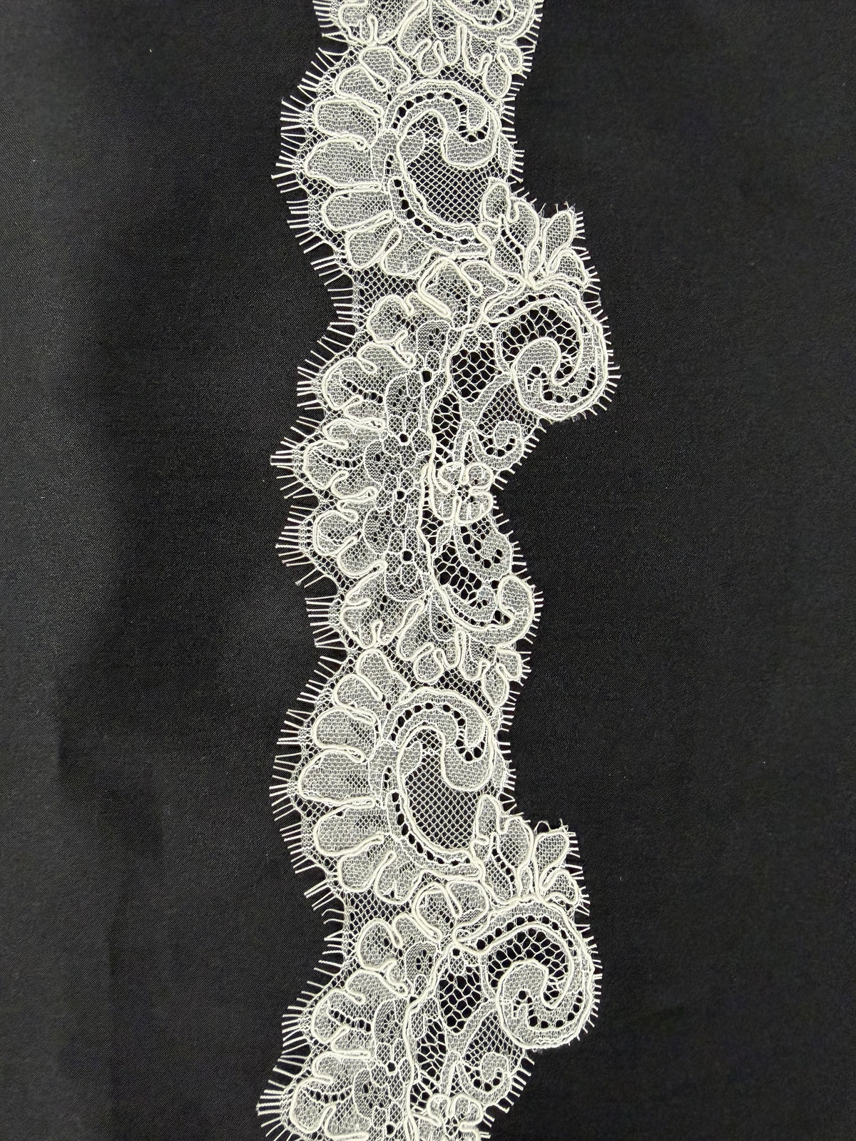 Ivory Corded Lace Trim - Zaru