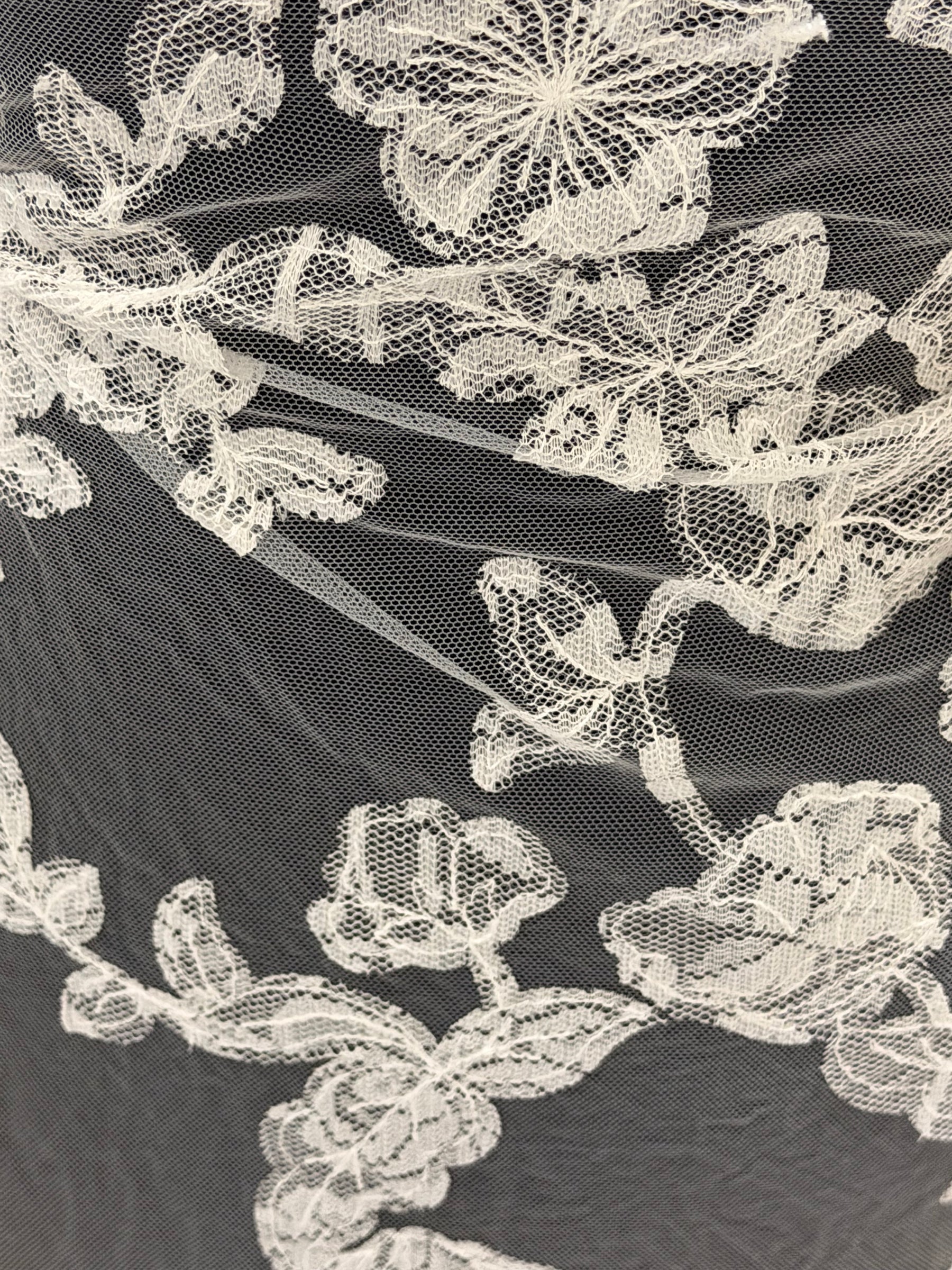 Ivory Contemporary Embroidered Lace - EB5041