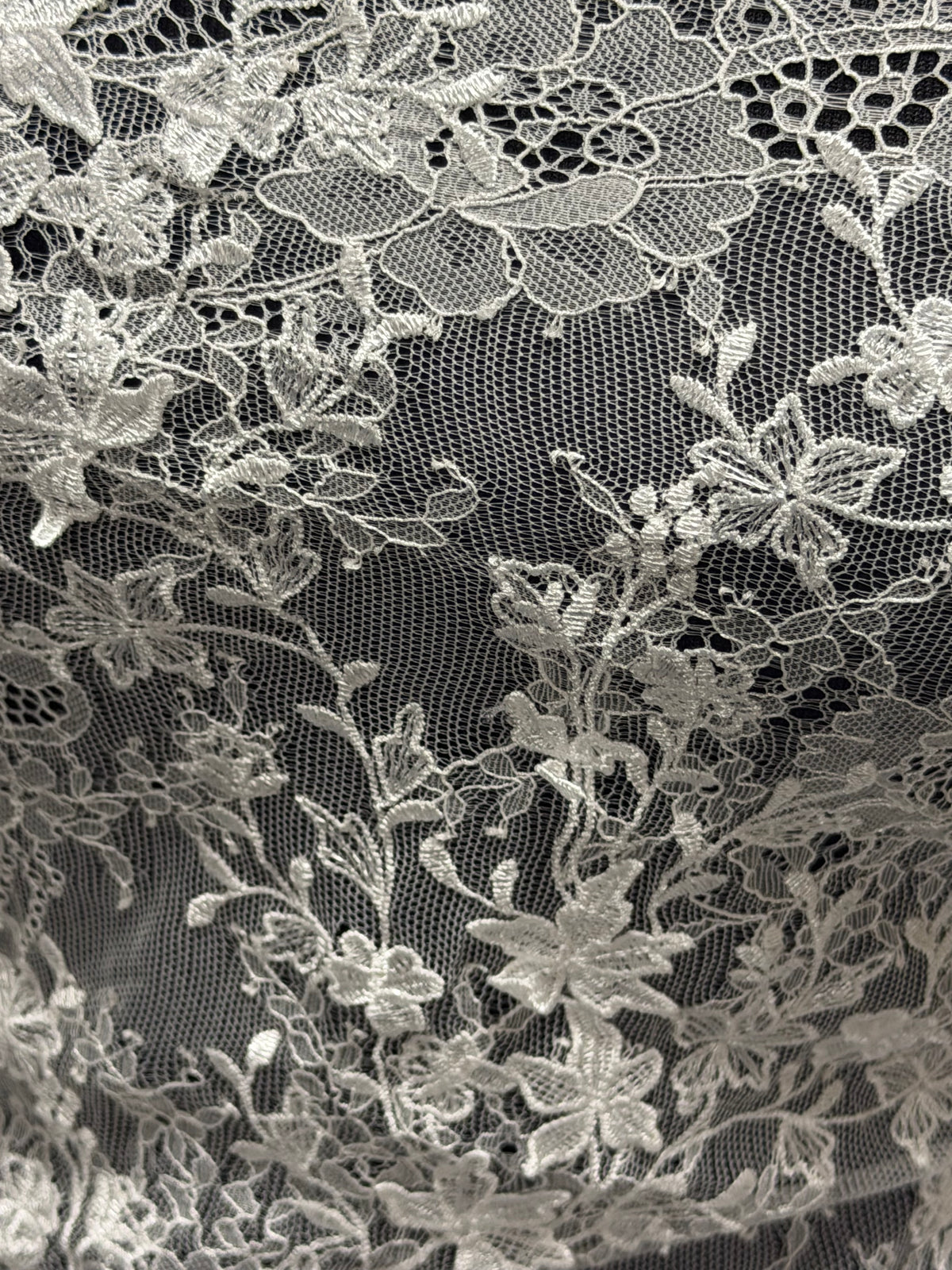 Dark Ivory Embroidered Lace - P228