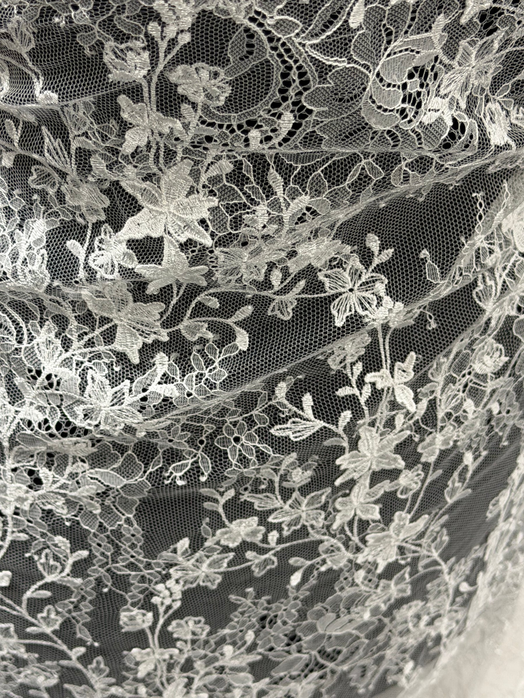 Ivory Embroidered Lace - P228