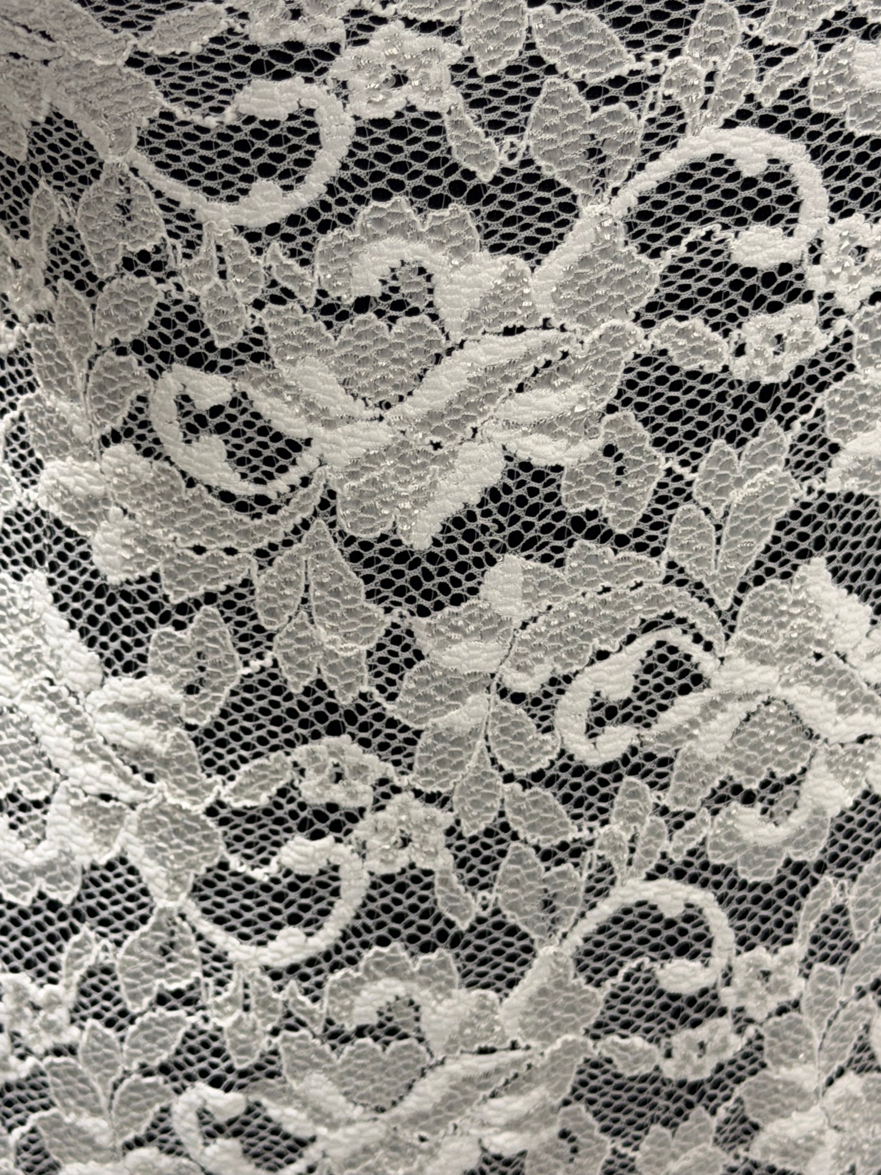Ivory Stretch Lace - LB7004