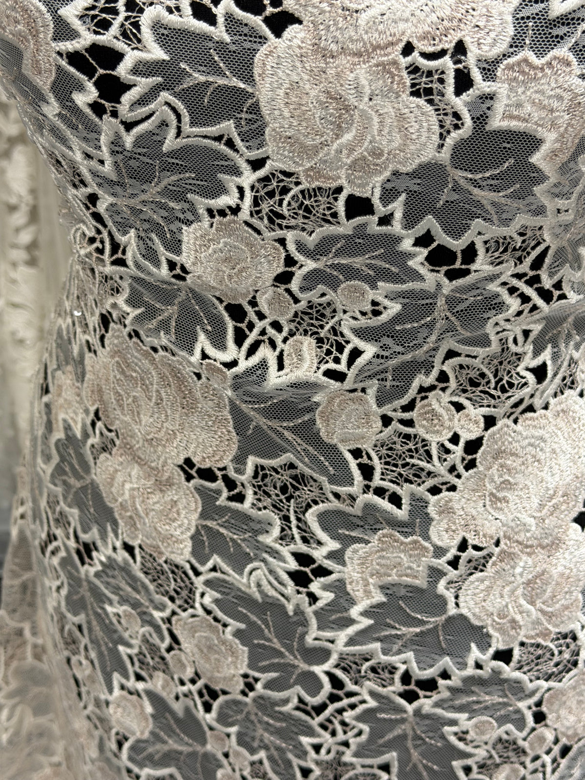 Ivory and Pink Lace - LB4004