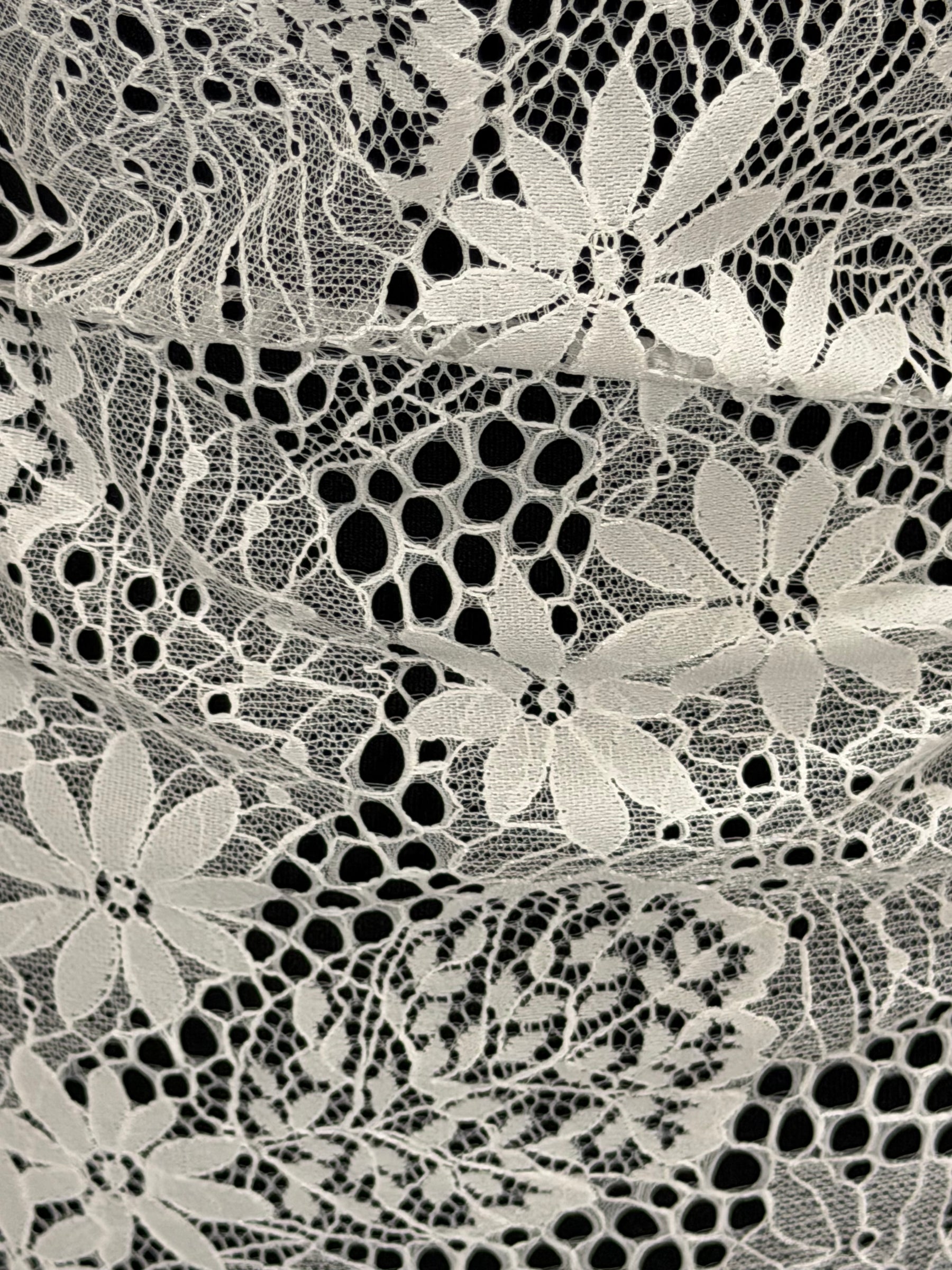 Ivory Lace - LA1013
