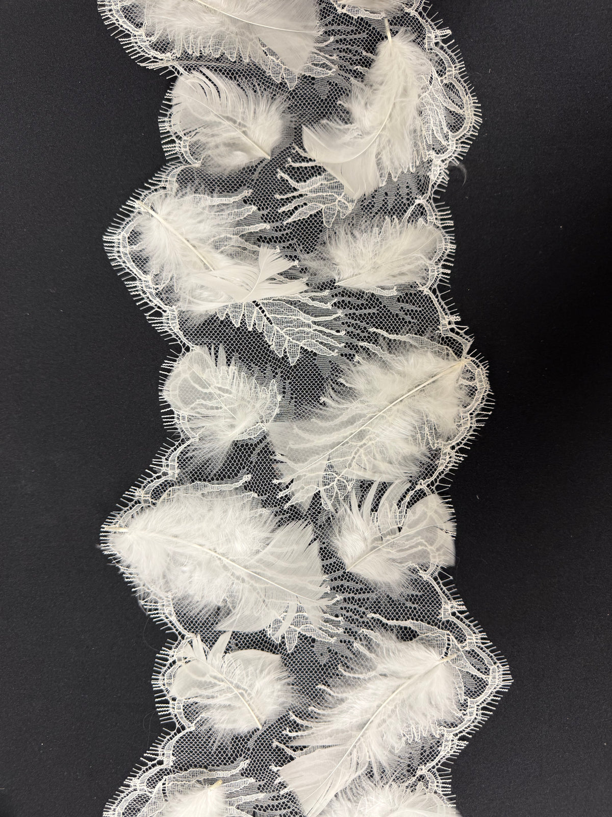 Ivory Feather Edging - T922