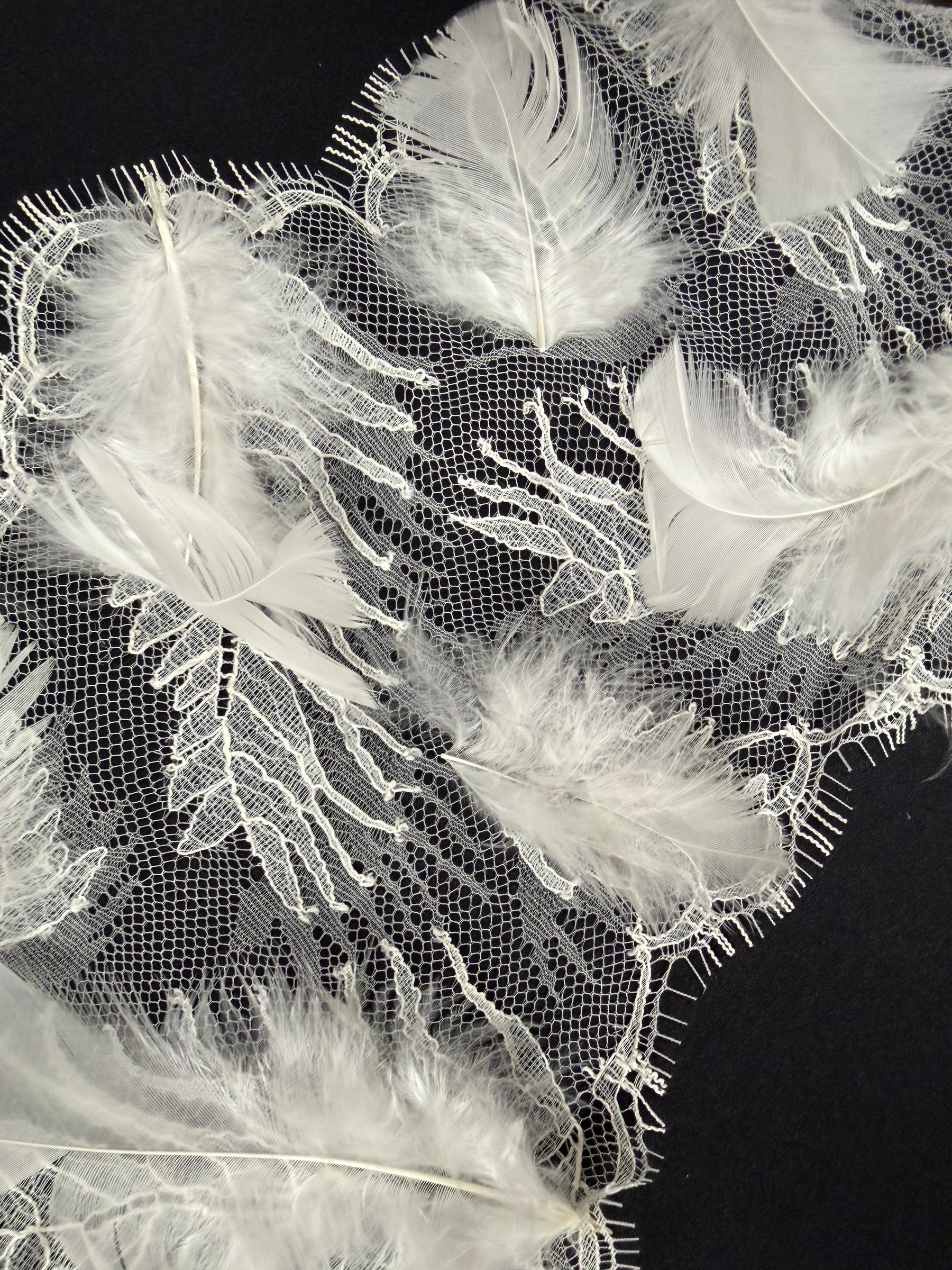 Ivory Feather Edging - T922