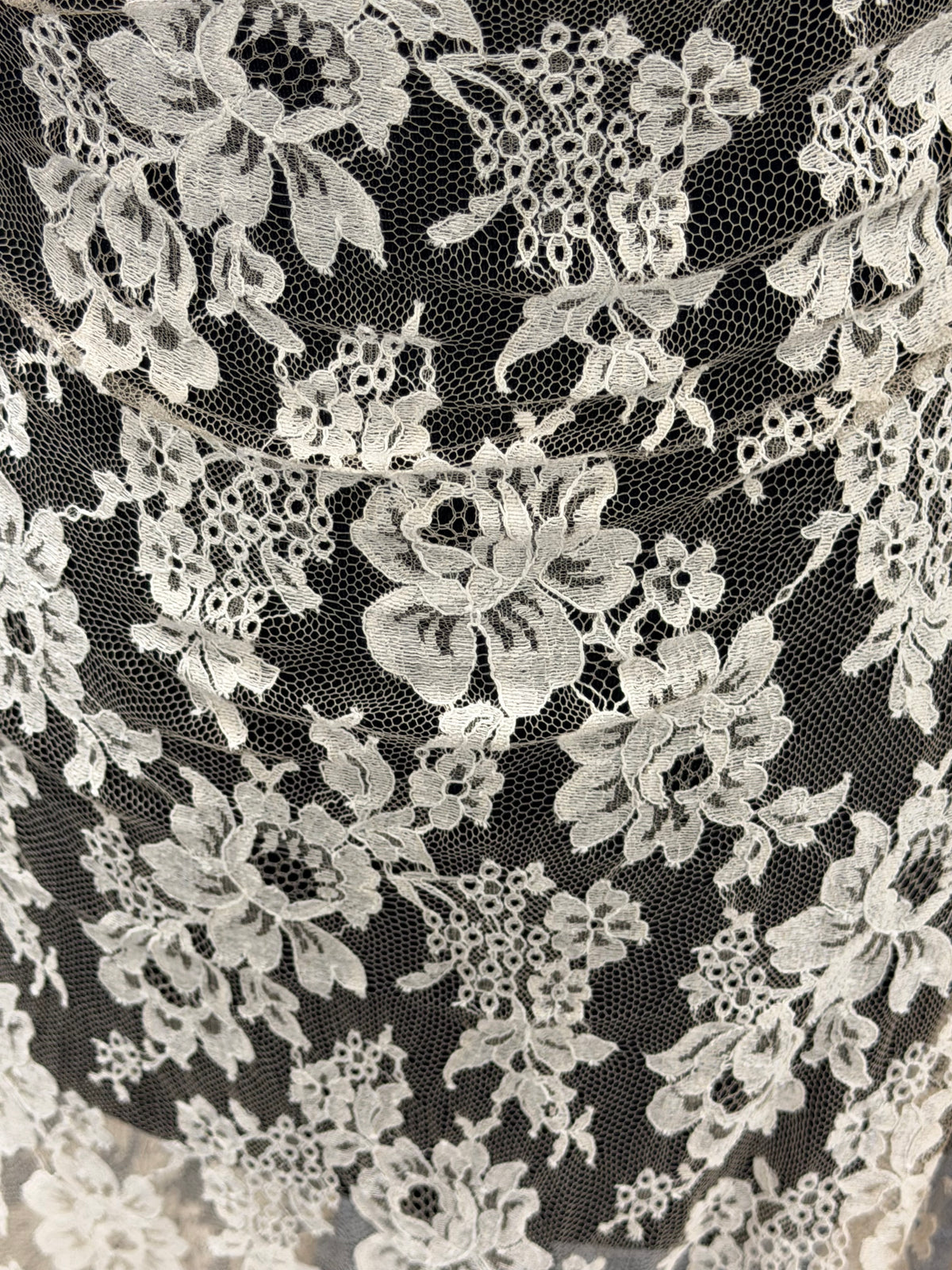 Beige Chantilly Lace - P305 (140cm)