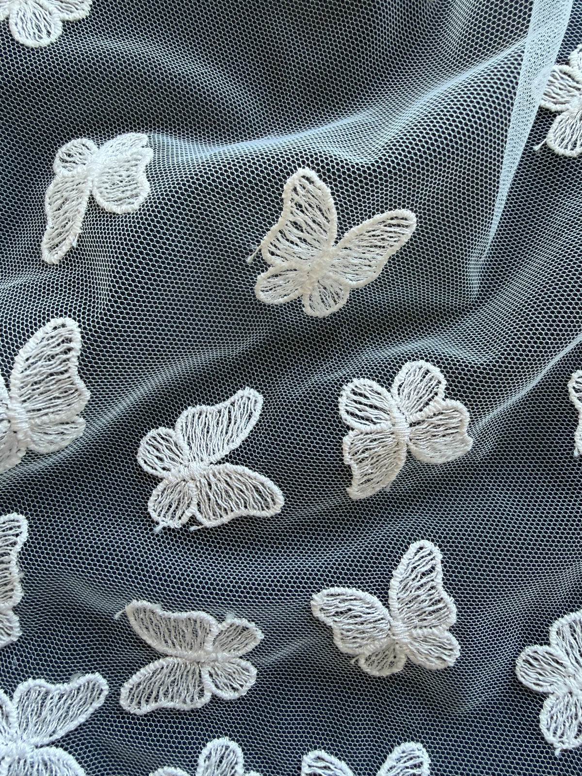 Ivory Embroidered Butterfly Lace – EU5001