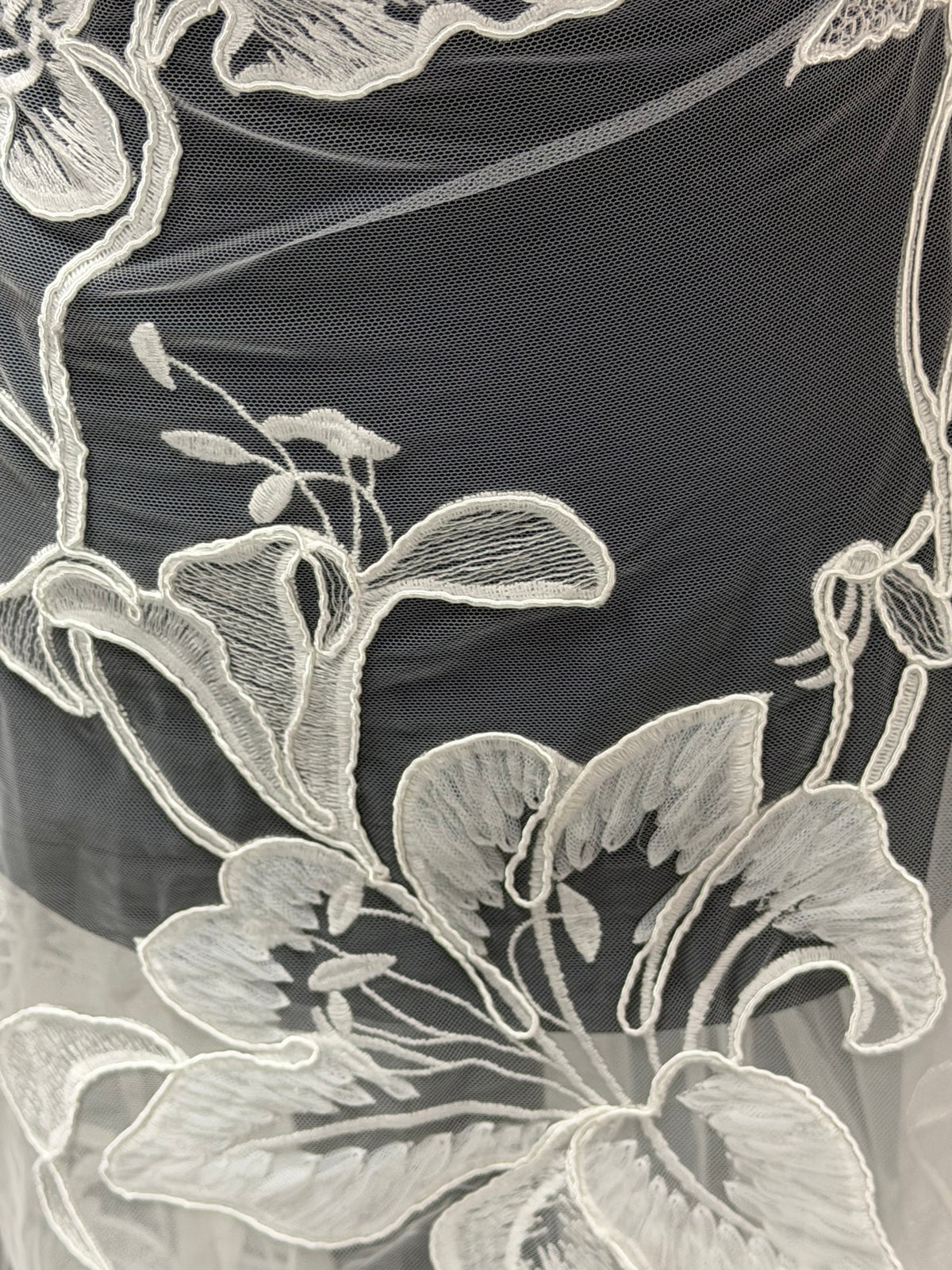 Ivory Corded Lace - Zargo