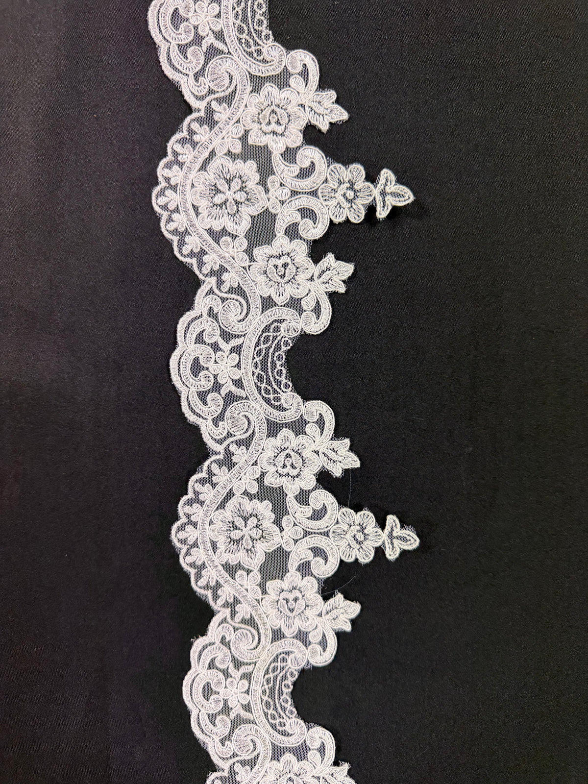 Ivory Embroidered Corded Edging - T870