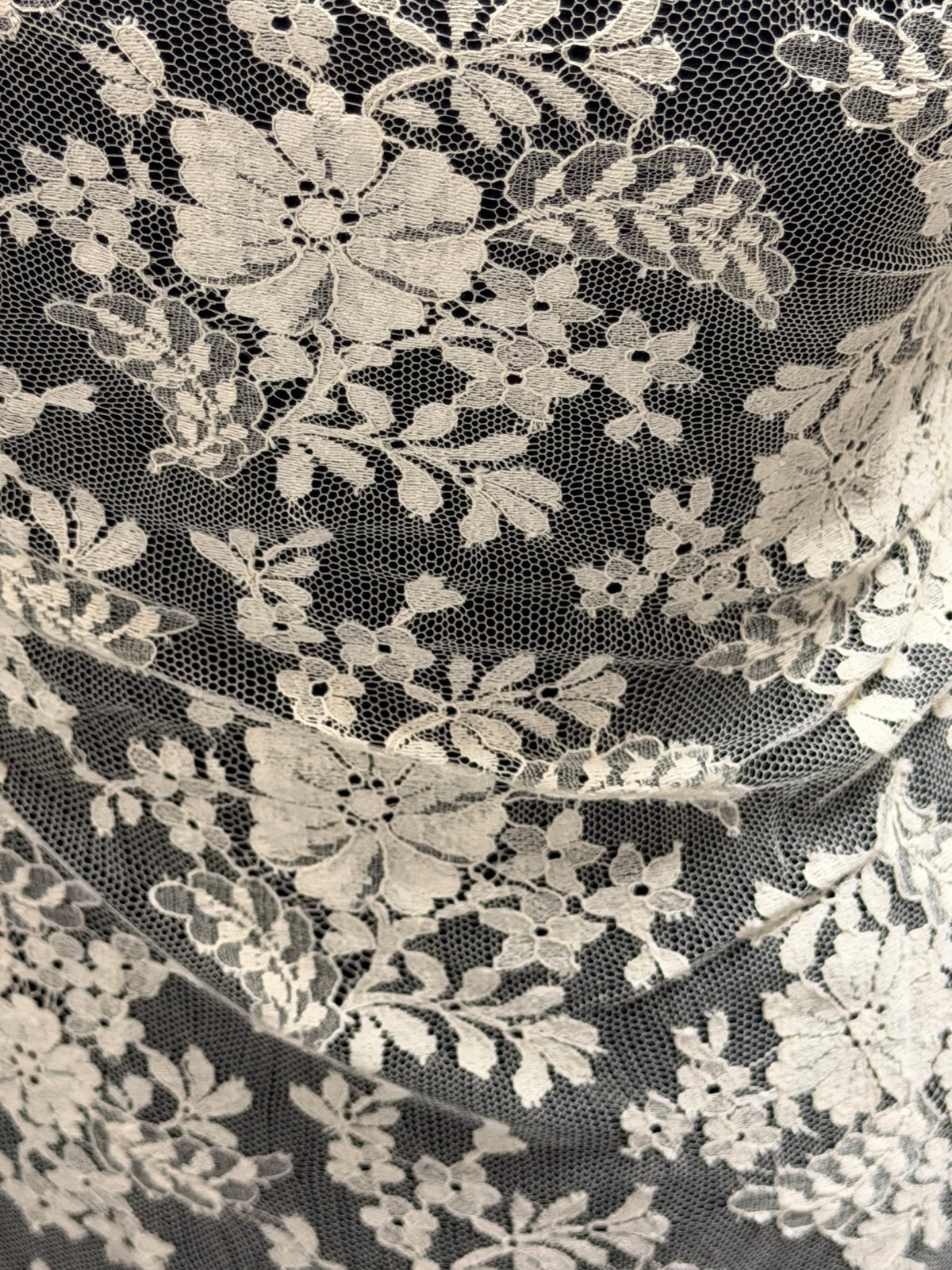 Champagne Beige Chantilly Lace - P294