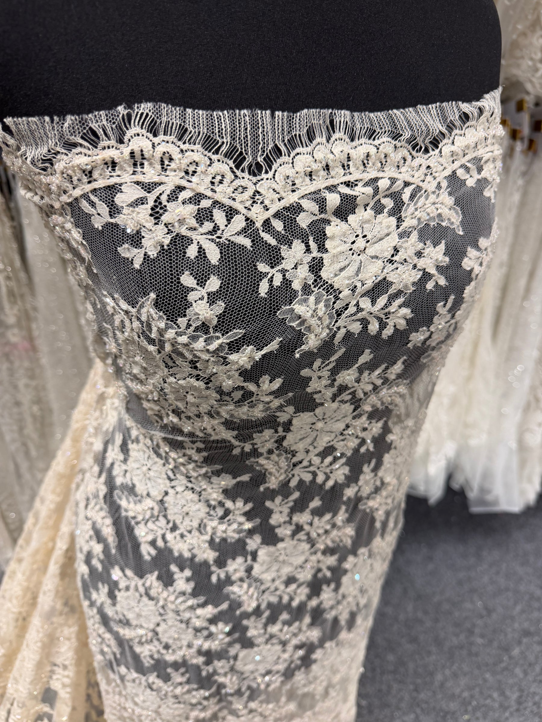 Oyster Beaded Chantilly Lace - P298