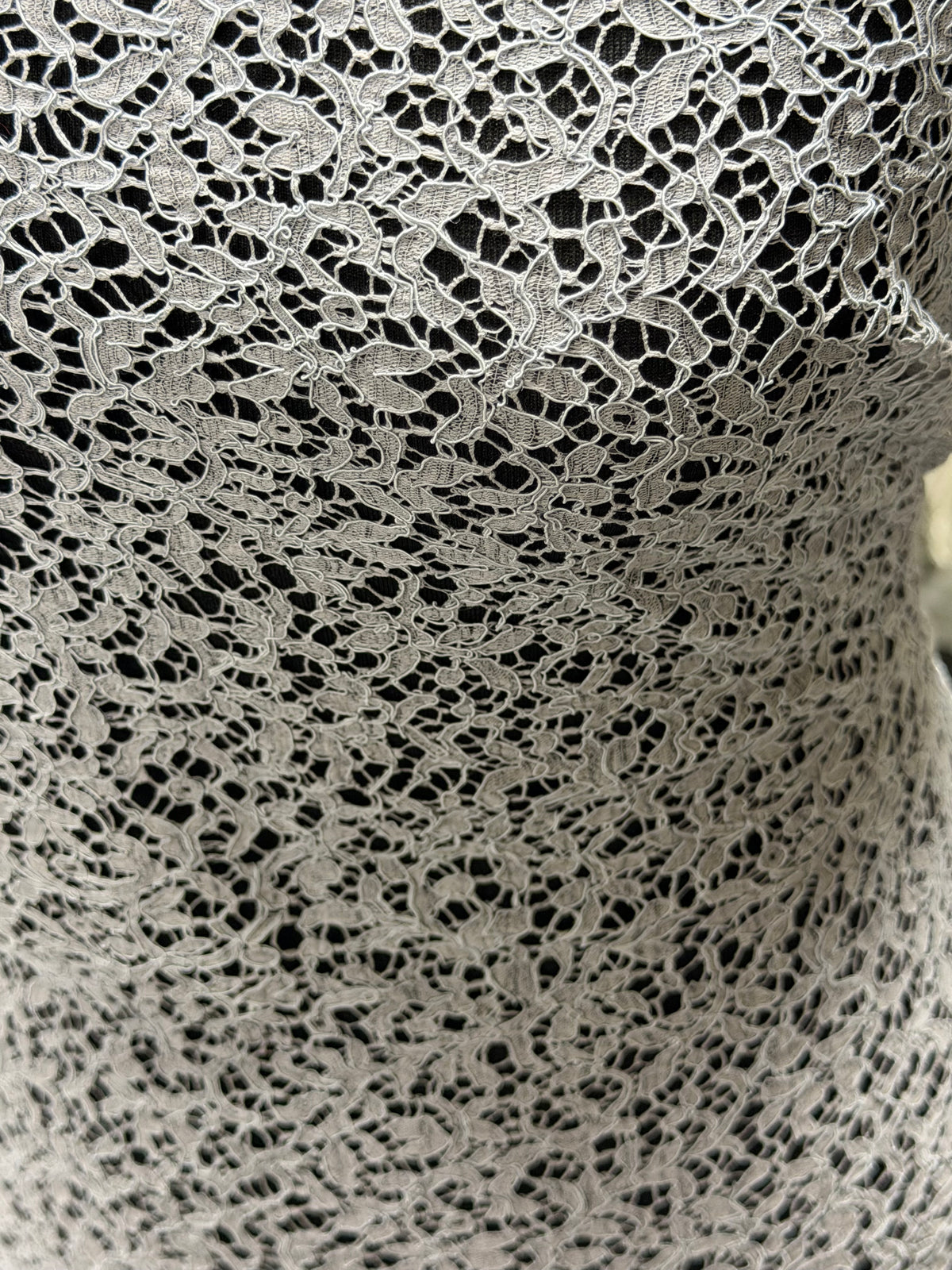 Silver Corded French Lace - LA4005