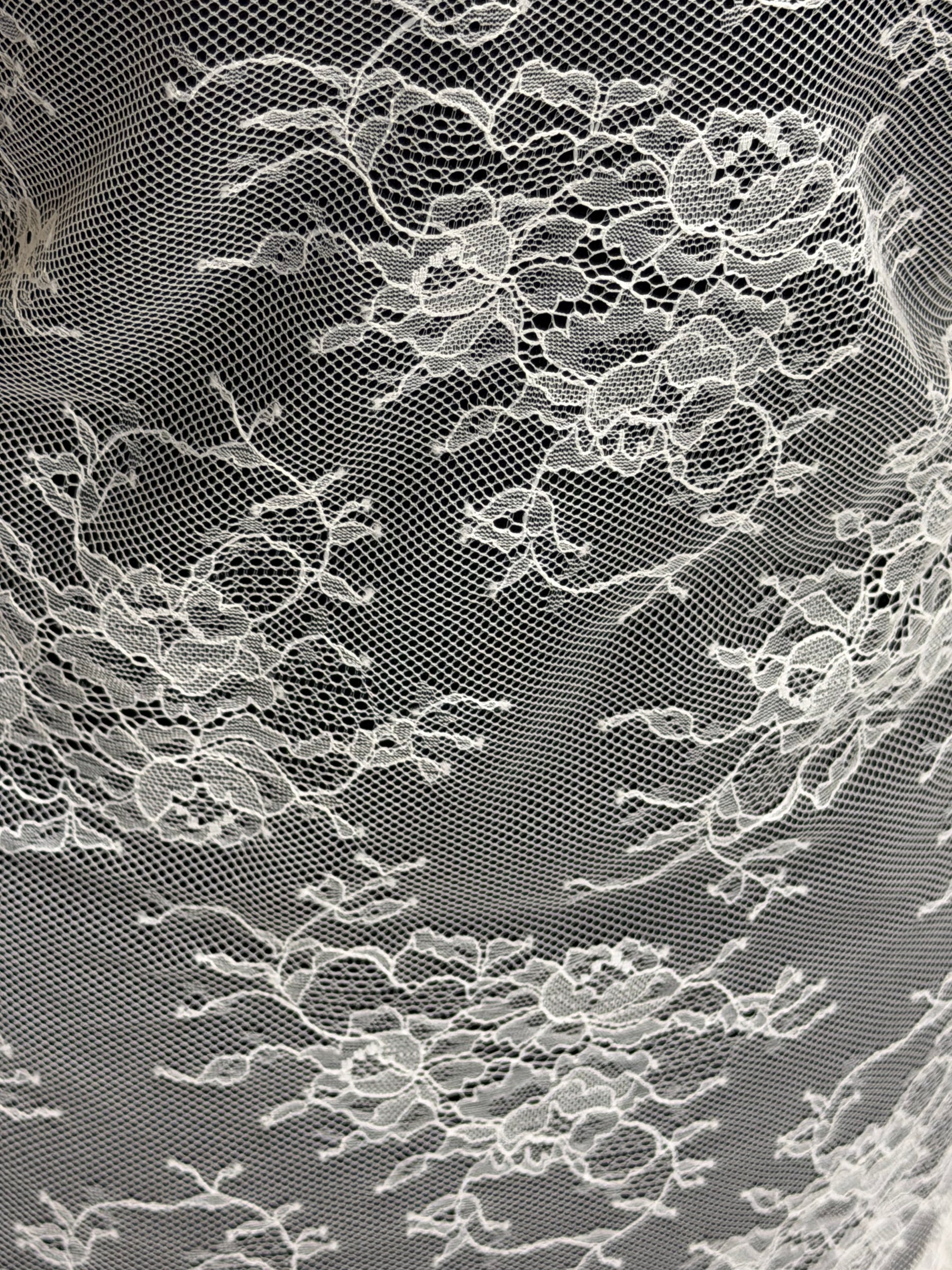 Ivory Leavers Lace - P887
