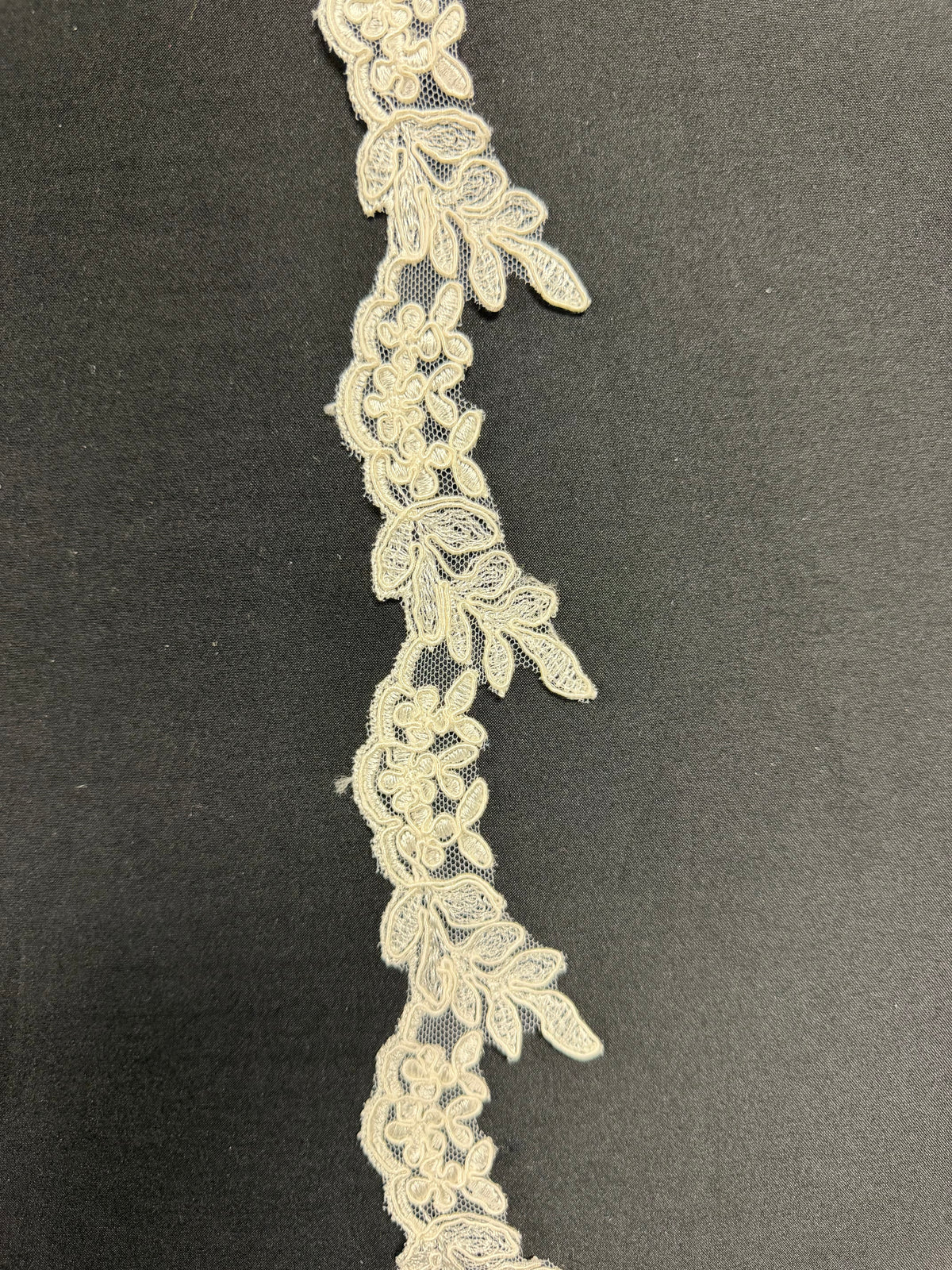 Ivory Corded Lace Trim - T58