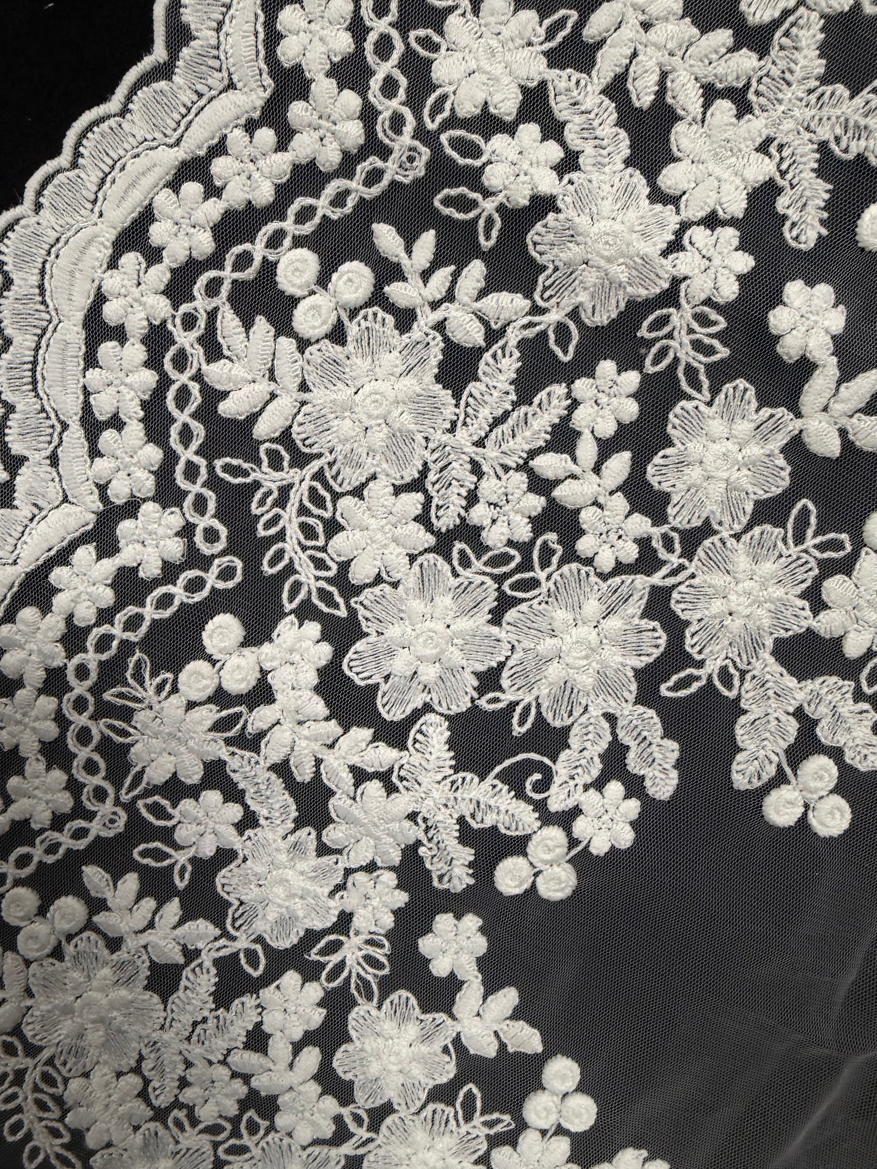 Light Ivory Corded Lace Trim - T982