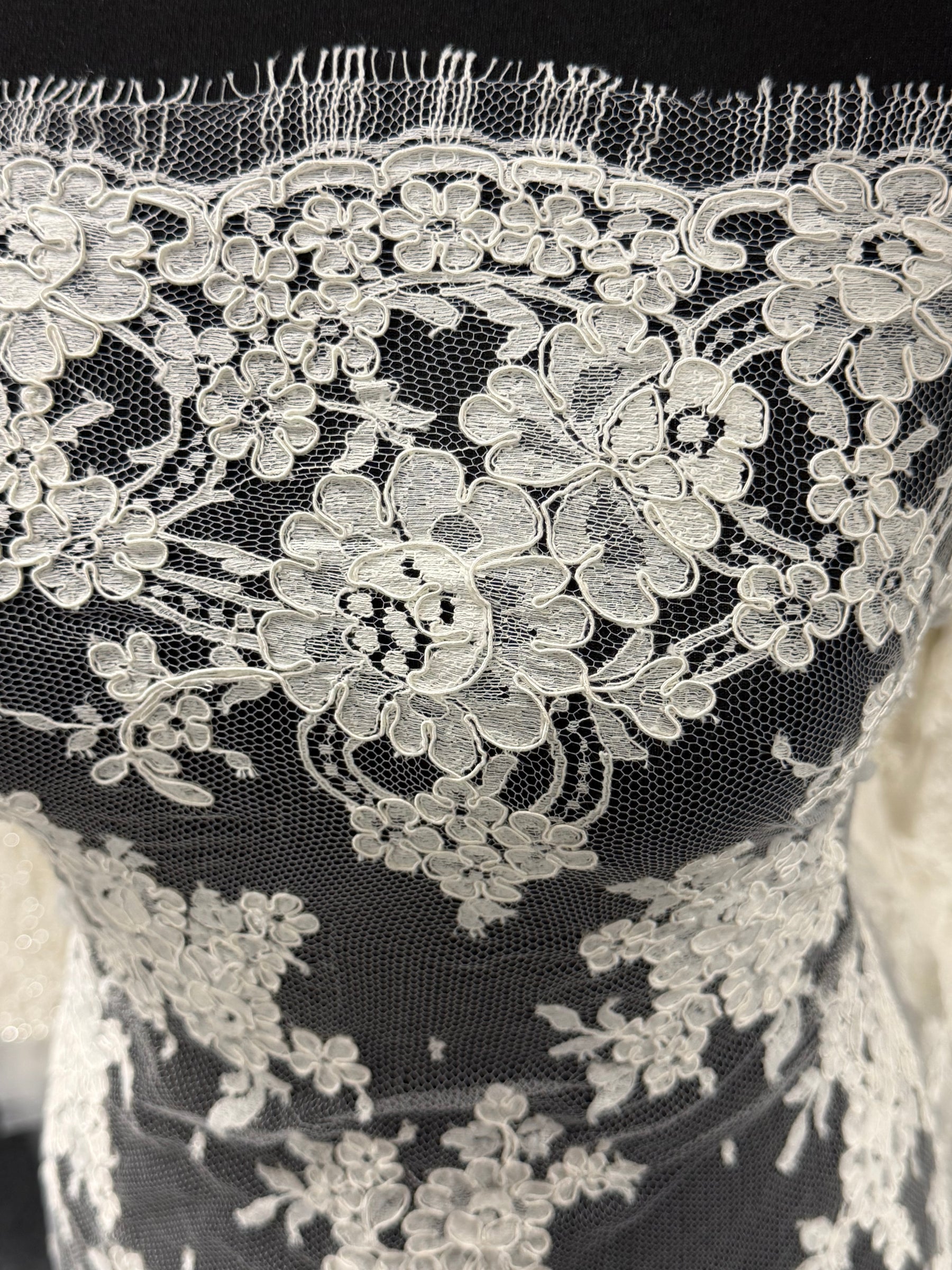 Ivory Corded Chantilly Lace - P237