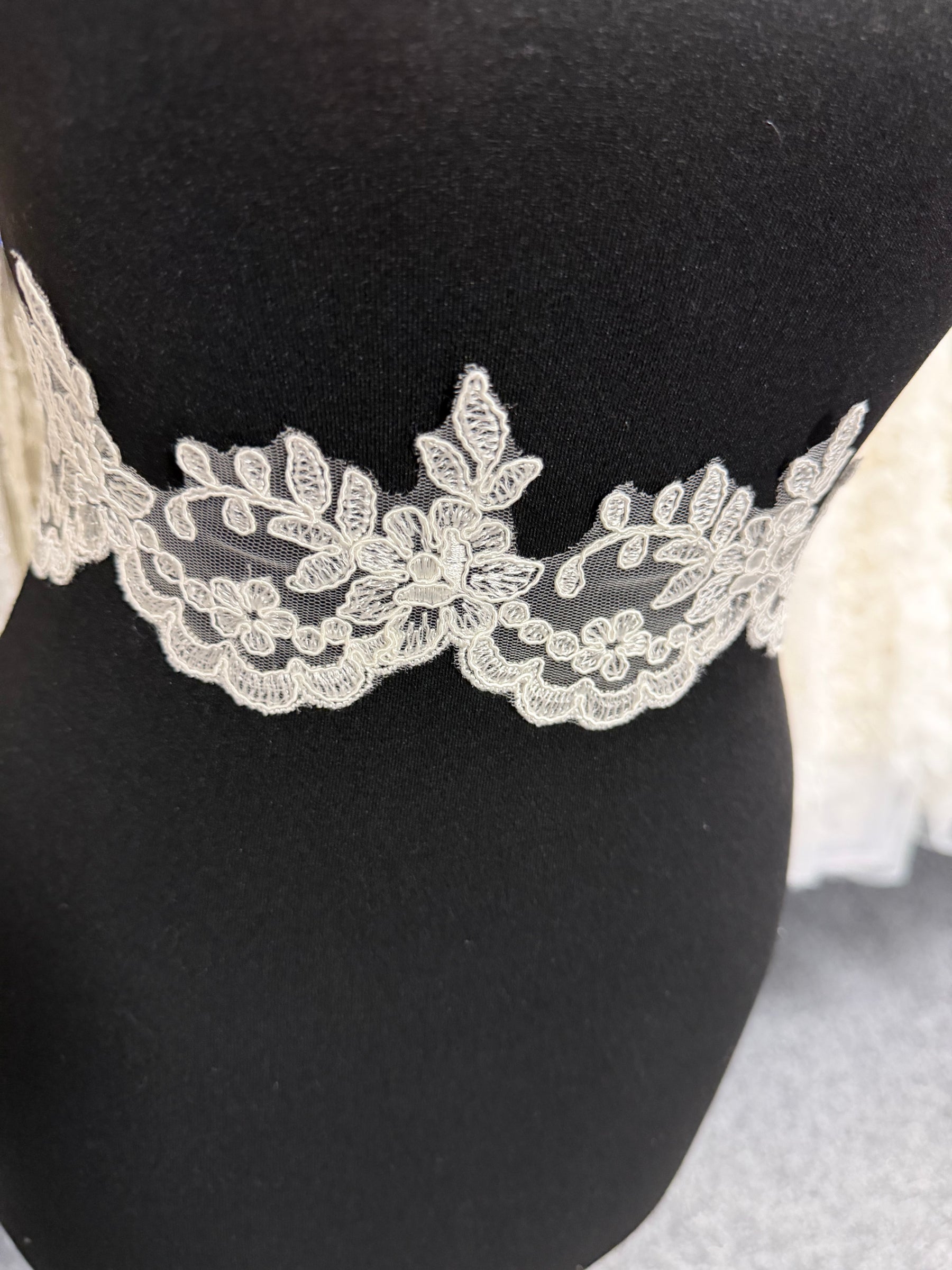 Ivory Corded Lace Trim - T82