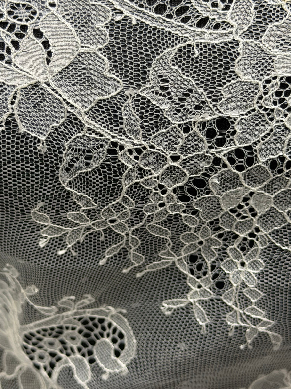 Ivory Lace Trim - Katherine (T372)