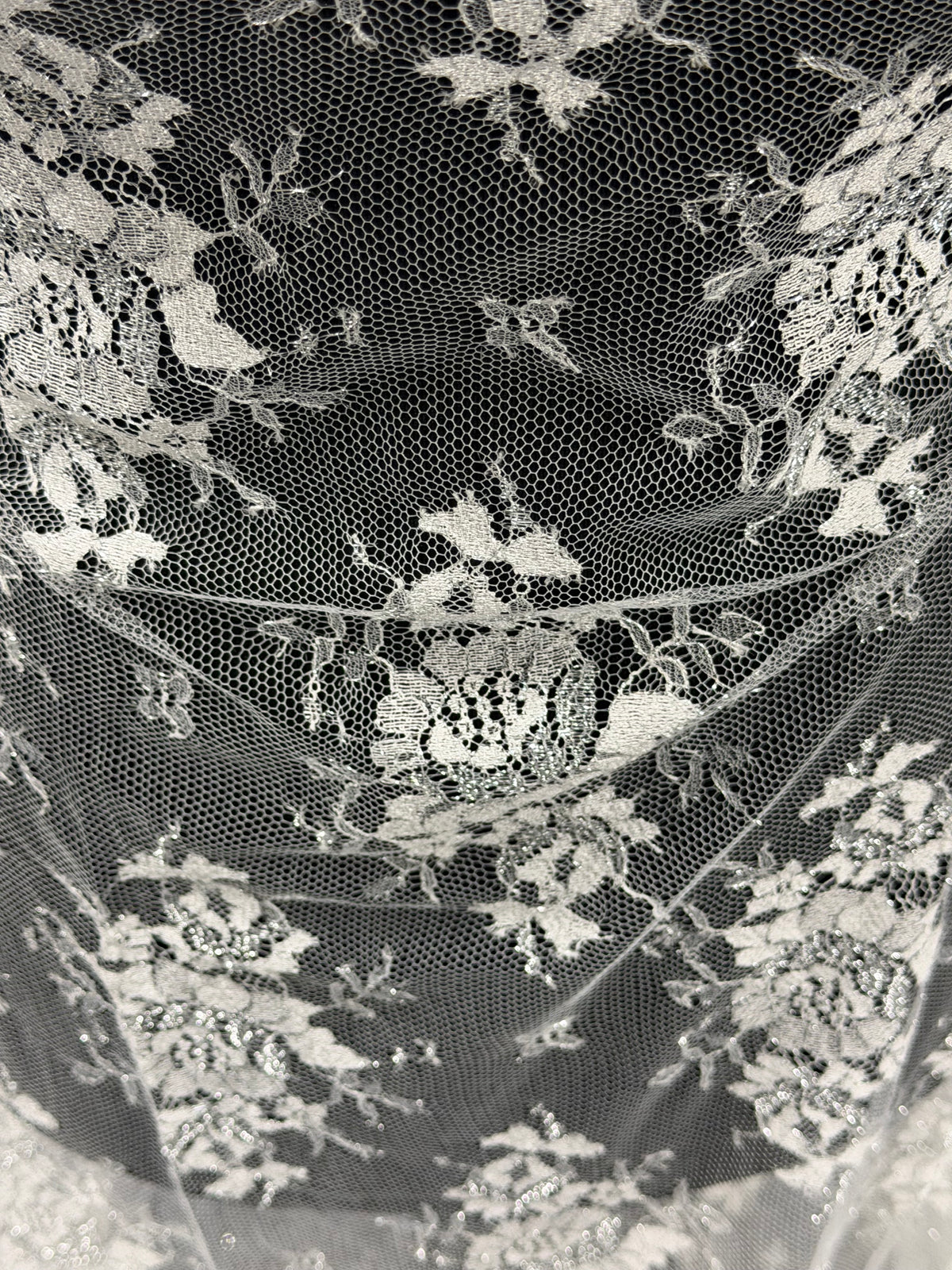 Ivory & Silver Chantilly Lace - P186