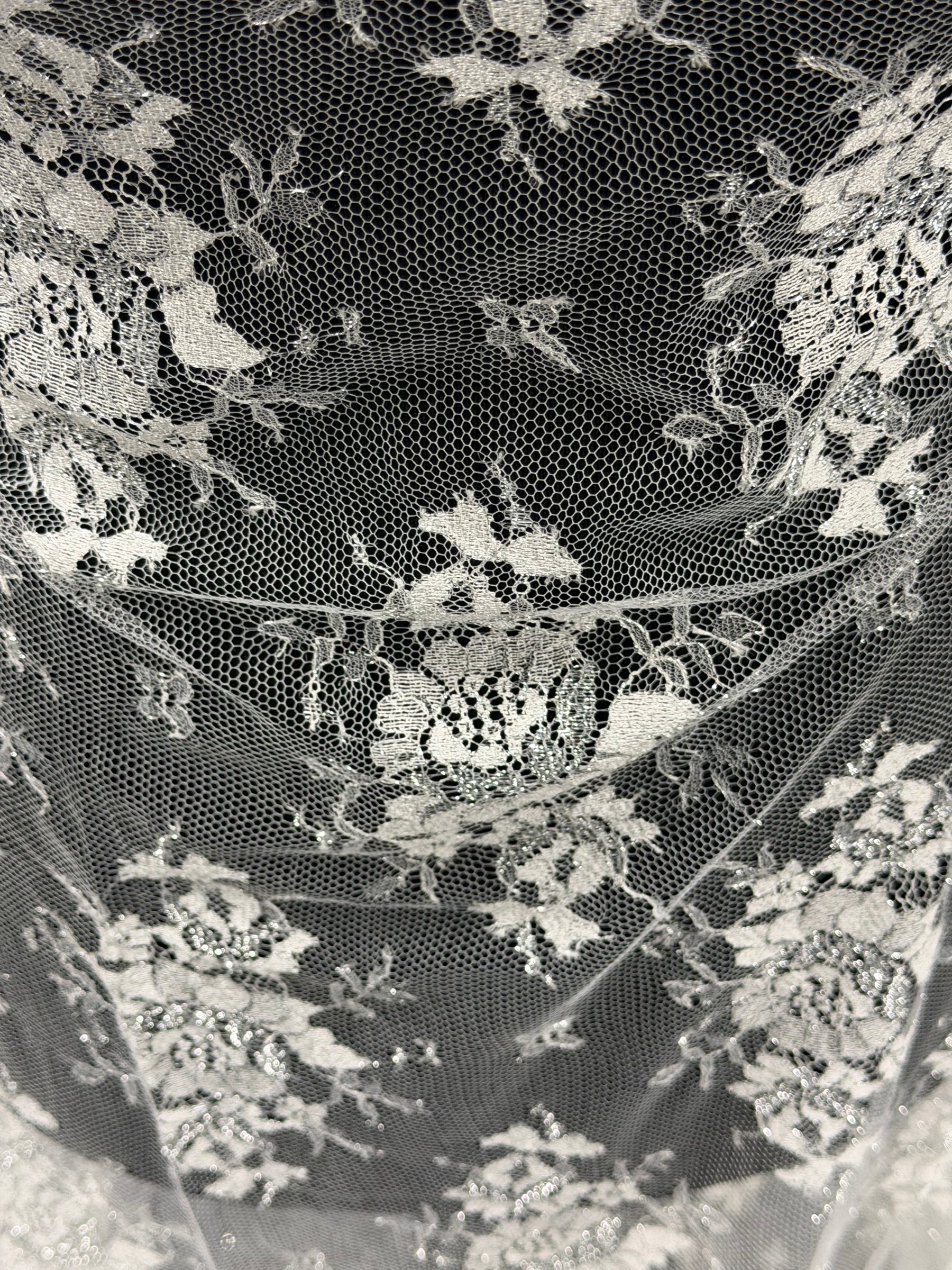 Ivory & Silver Chantilly Lace - P186