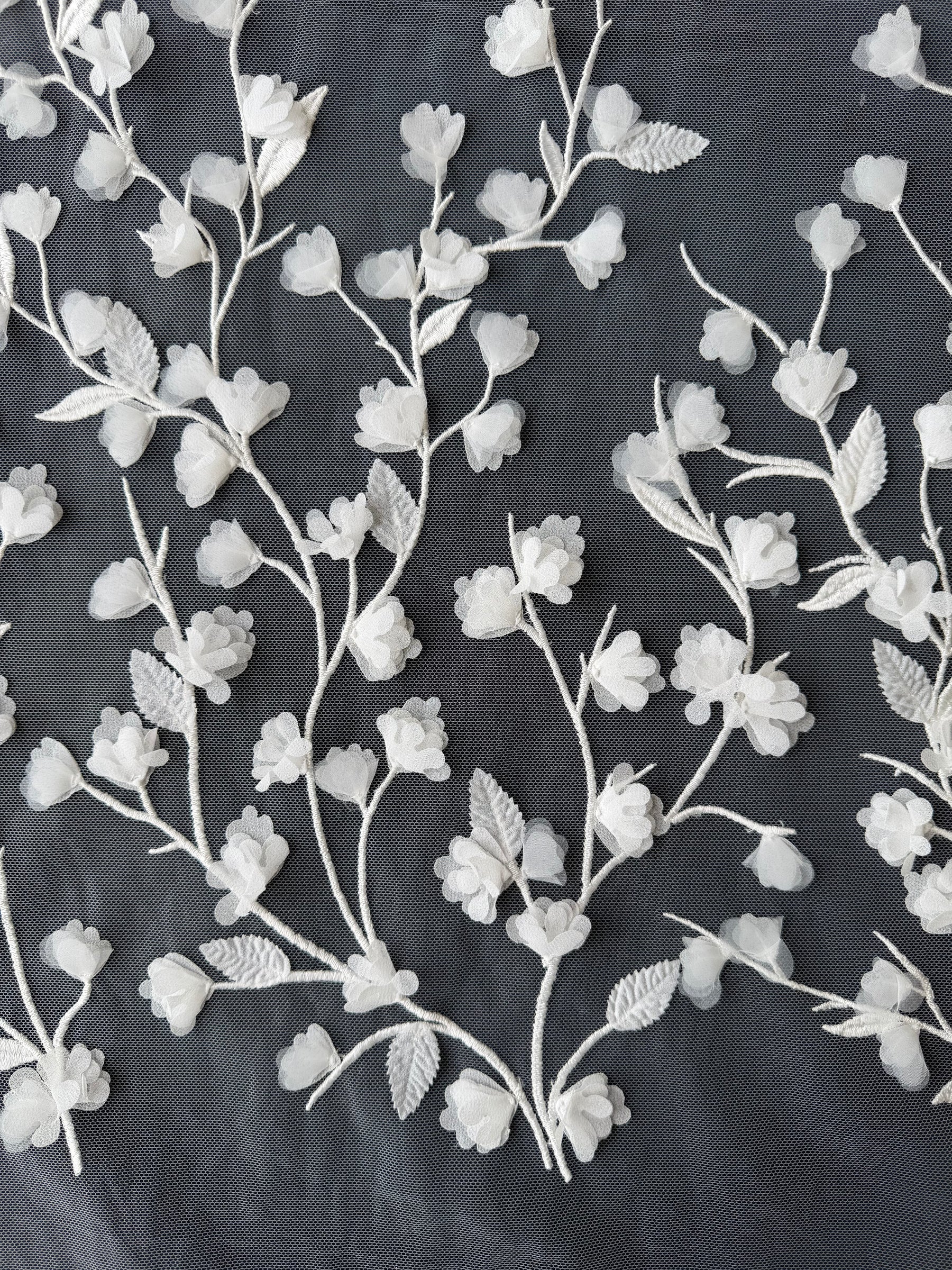 Ivory Laser Lace - EB5019