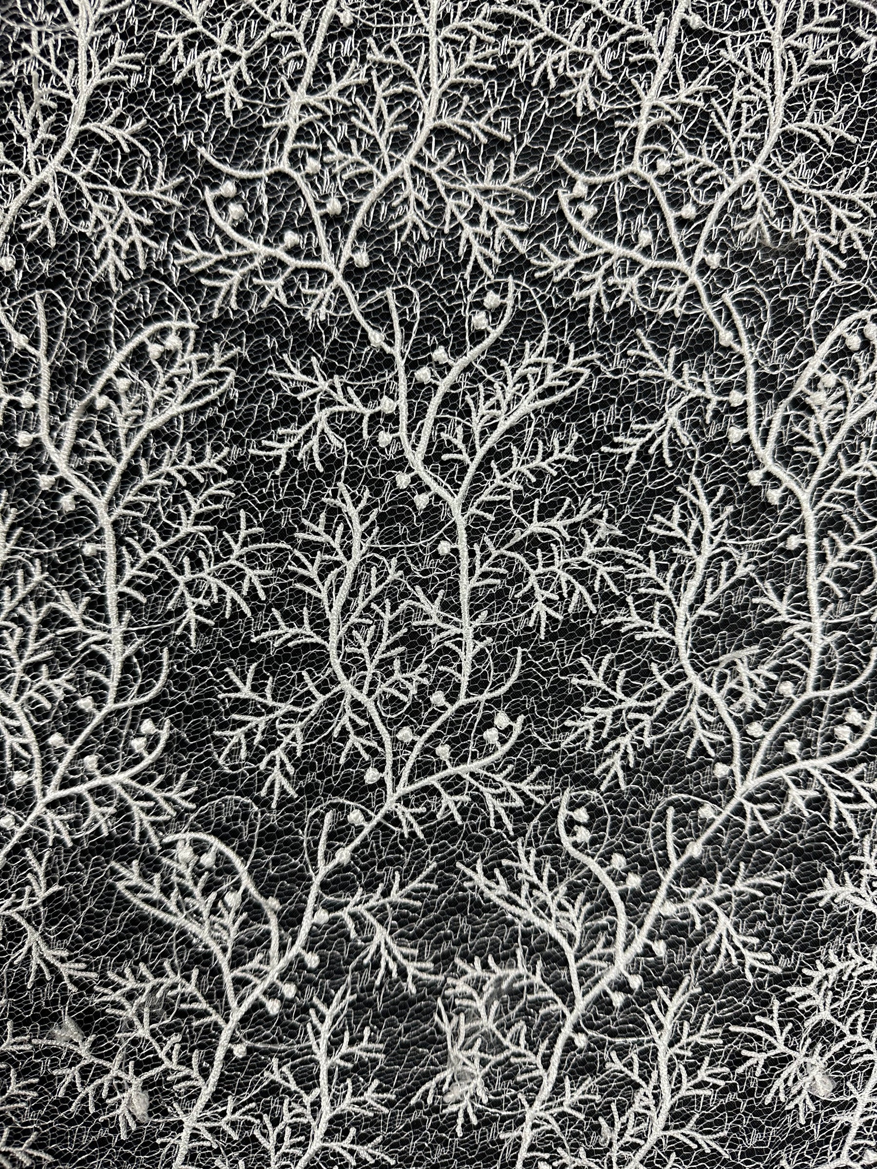 Ivory Embroidery Lace - EB5054