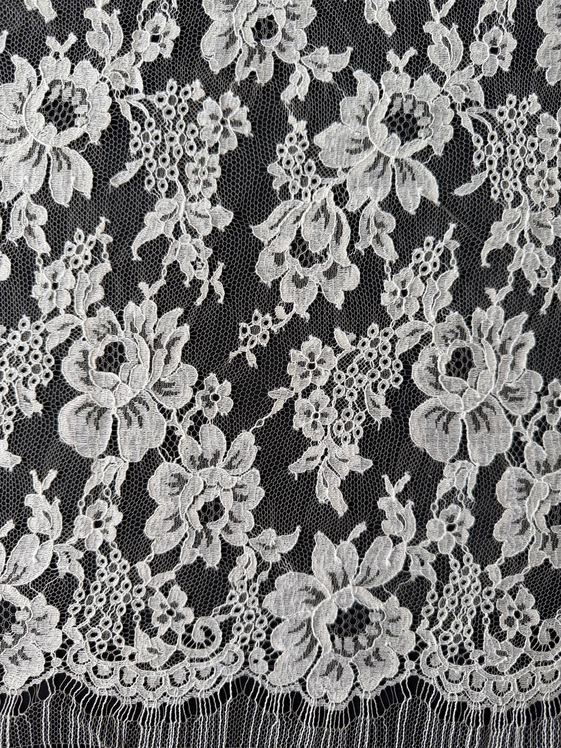 Beige Chantilly Lace - P305 (140cm)