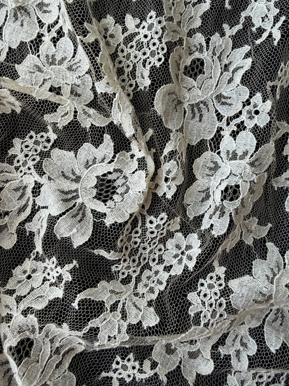 Beige Chantilly Lace - P305 (140cm)