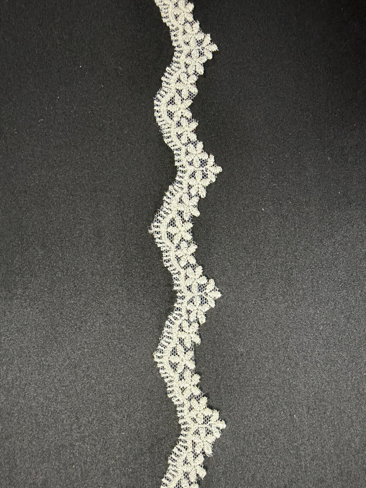 Ivory Embroidered Lace Trim - T828