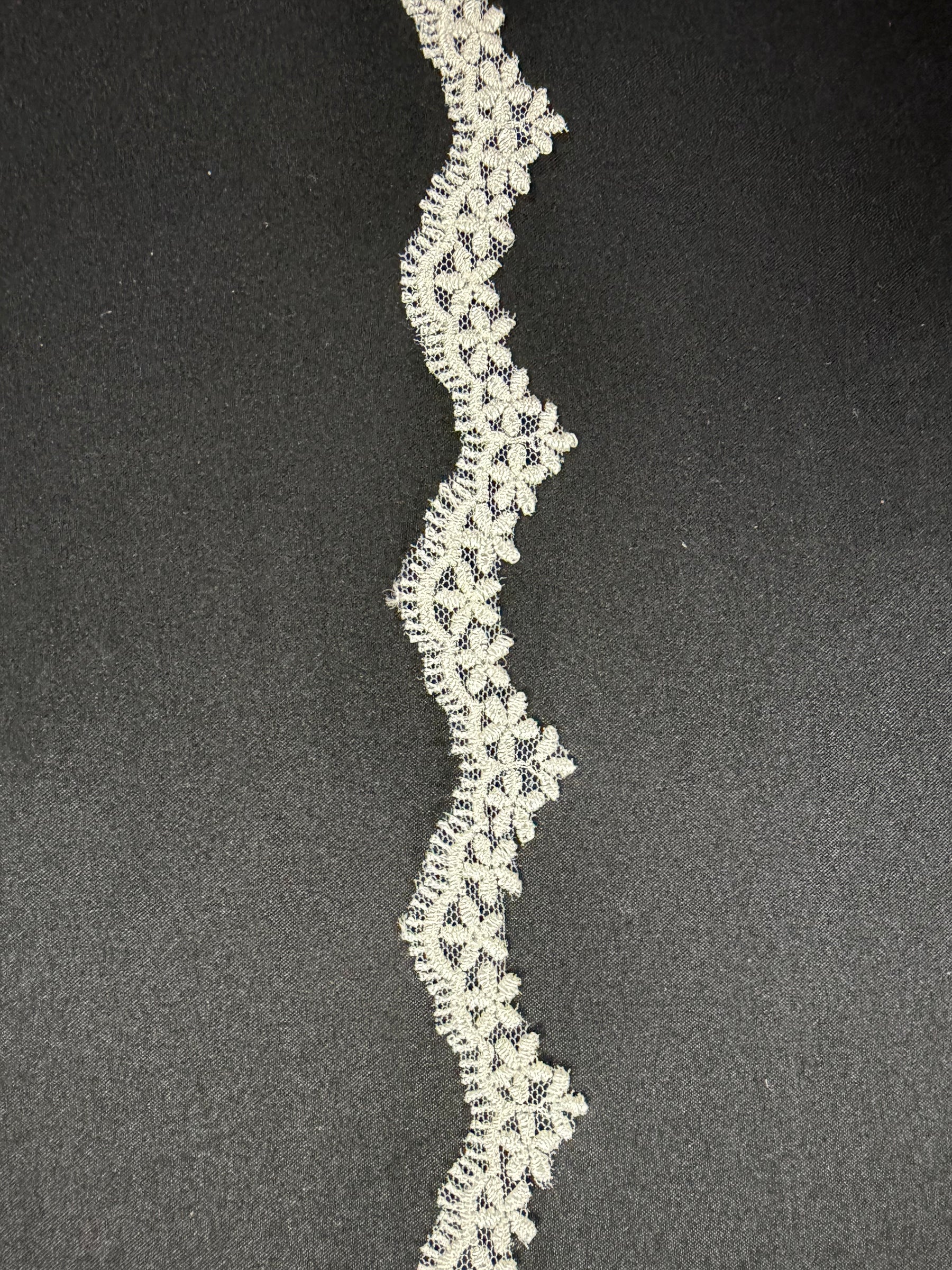 Ivory Embroidered Lace Trim - T828